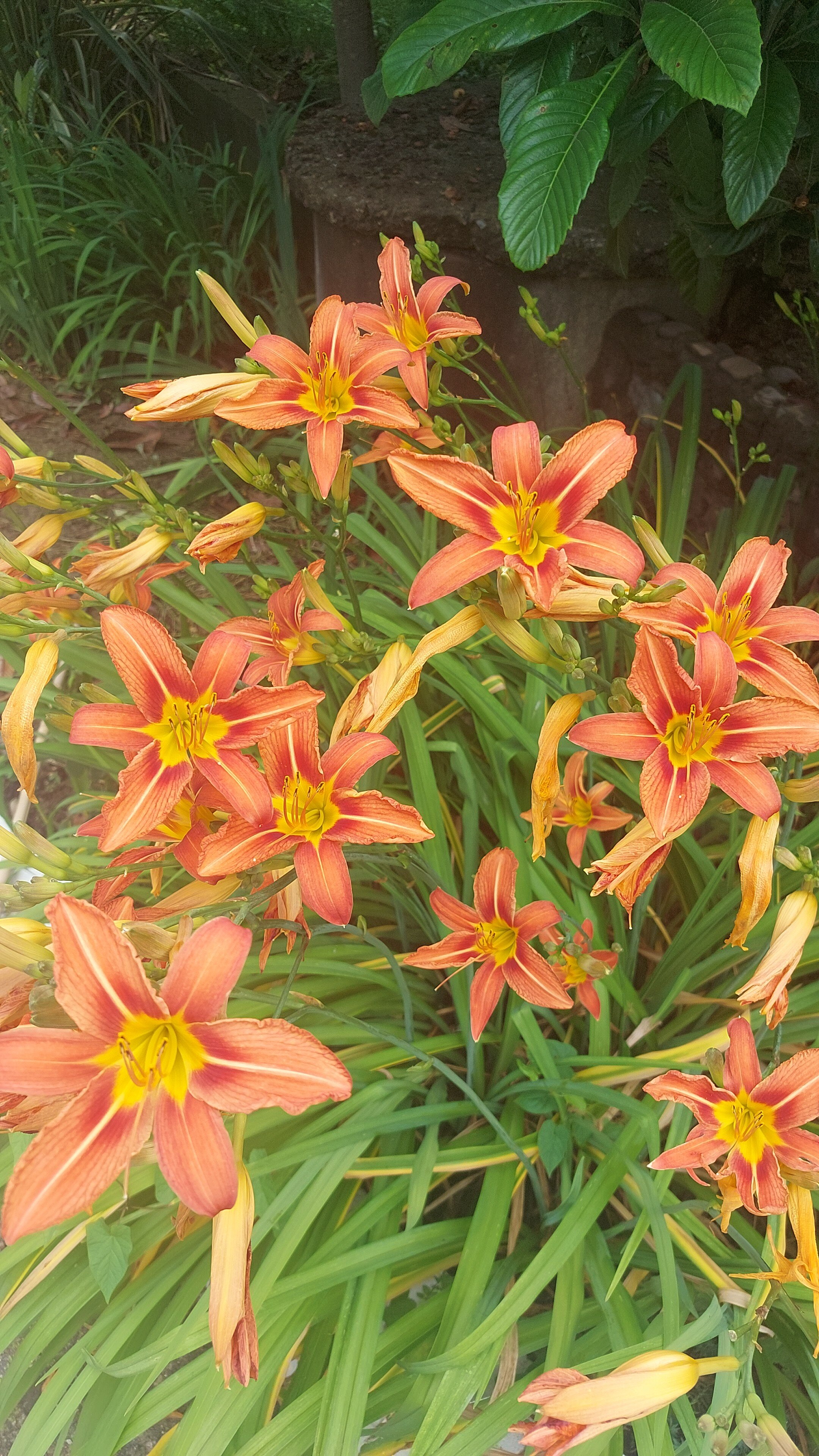 Фото Горизонт