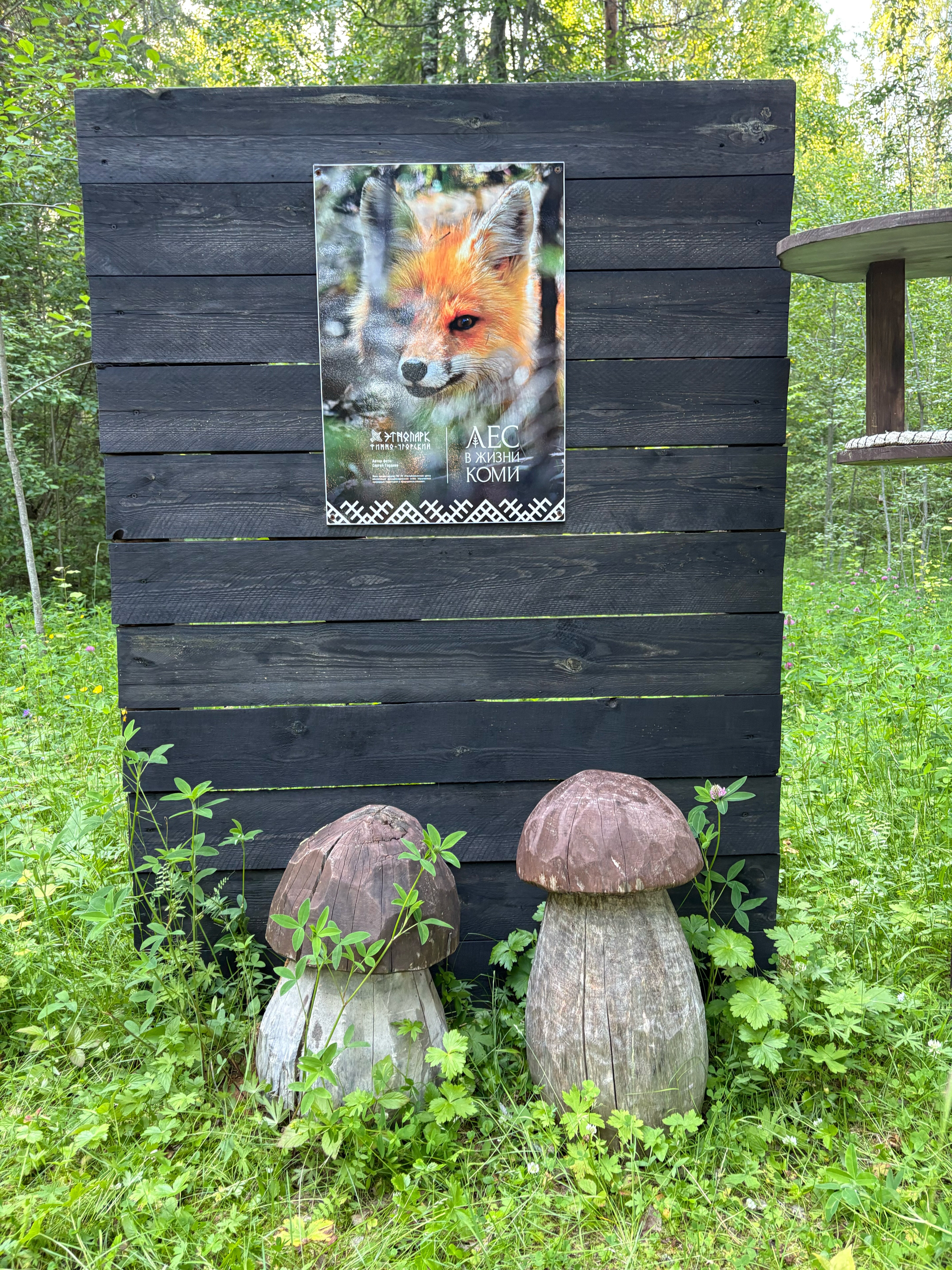 Фото Финноугория