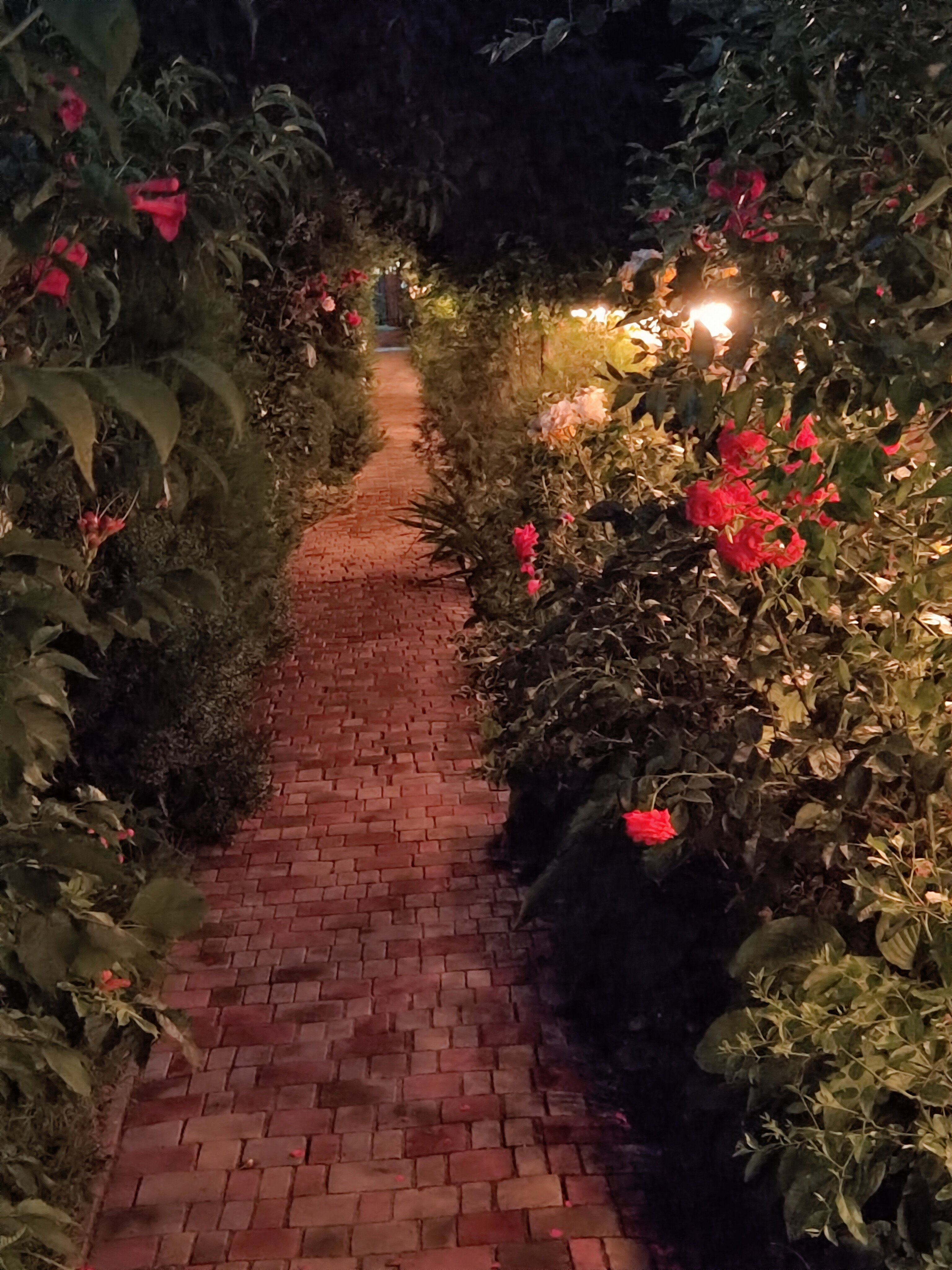 Фото Green House