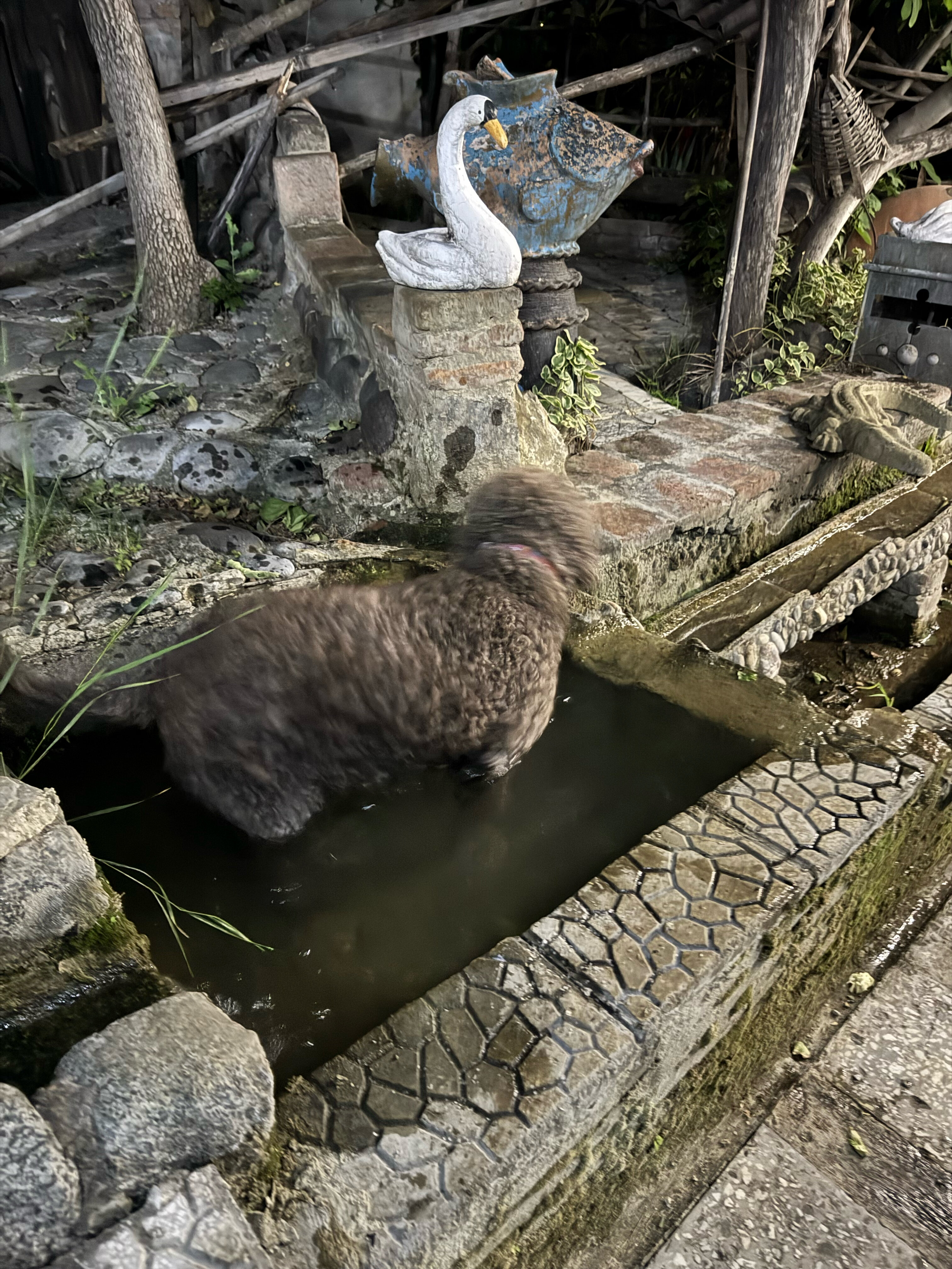 Фото Amiran's Lake