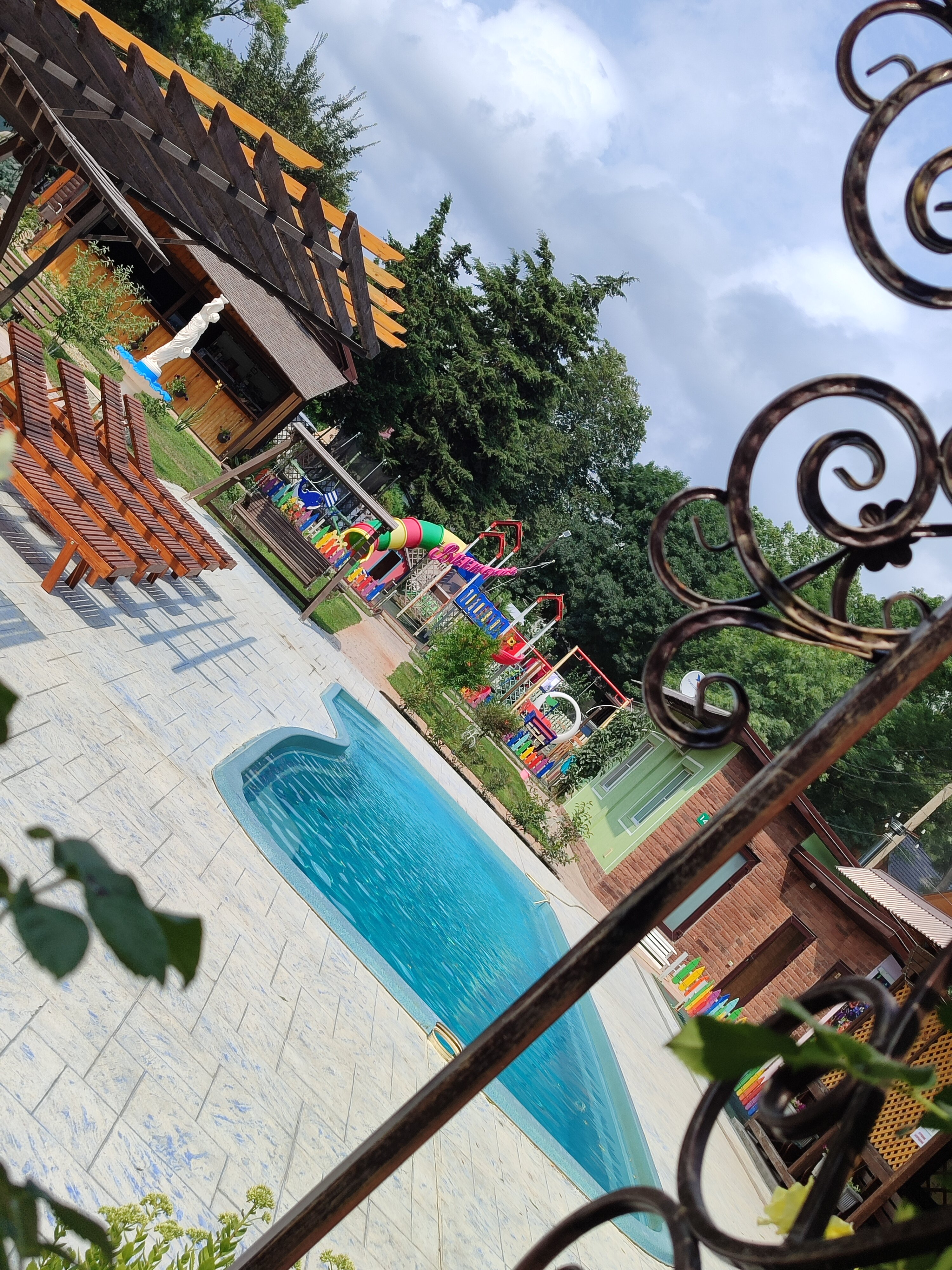 Фото Ромашка