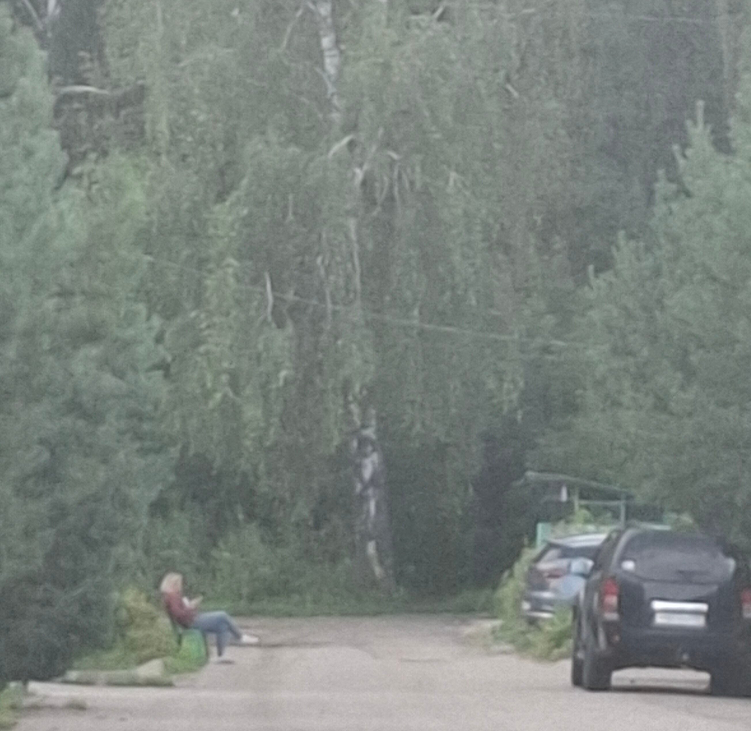 Фото Медово Хауз