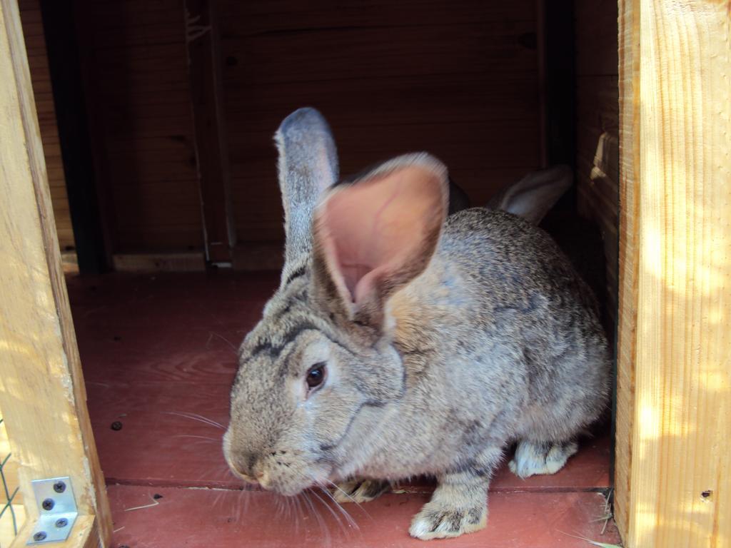 Фото Рубикон