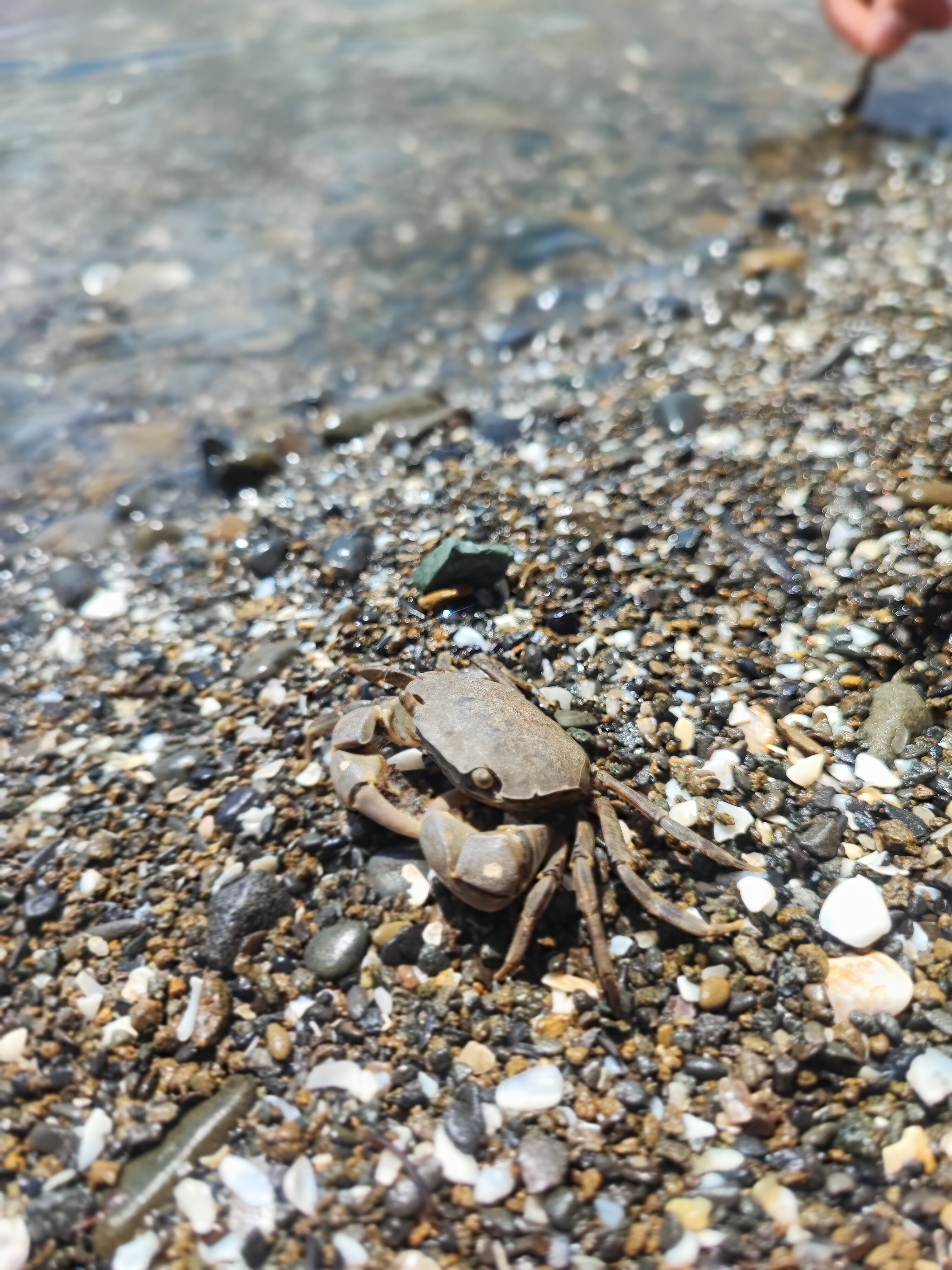 Фото Happy House