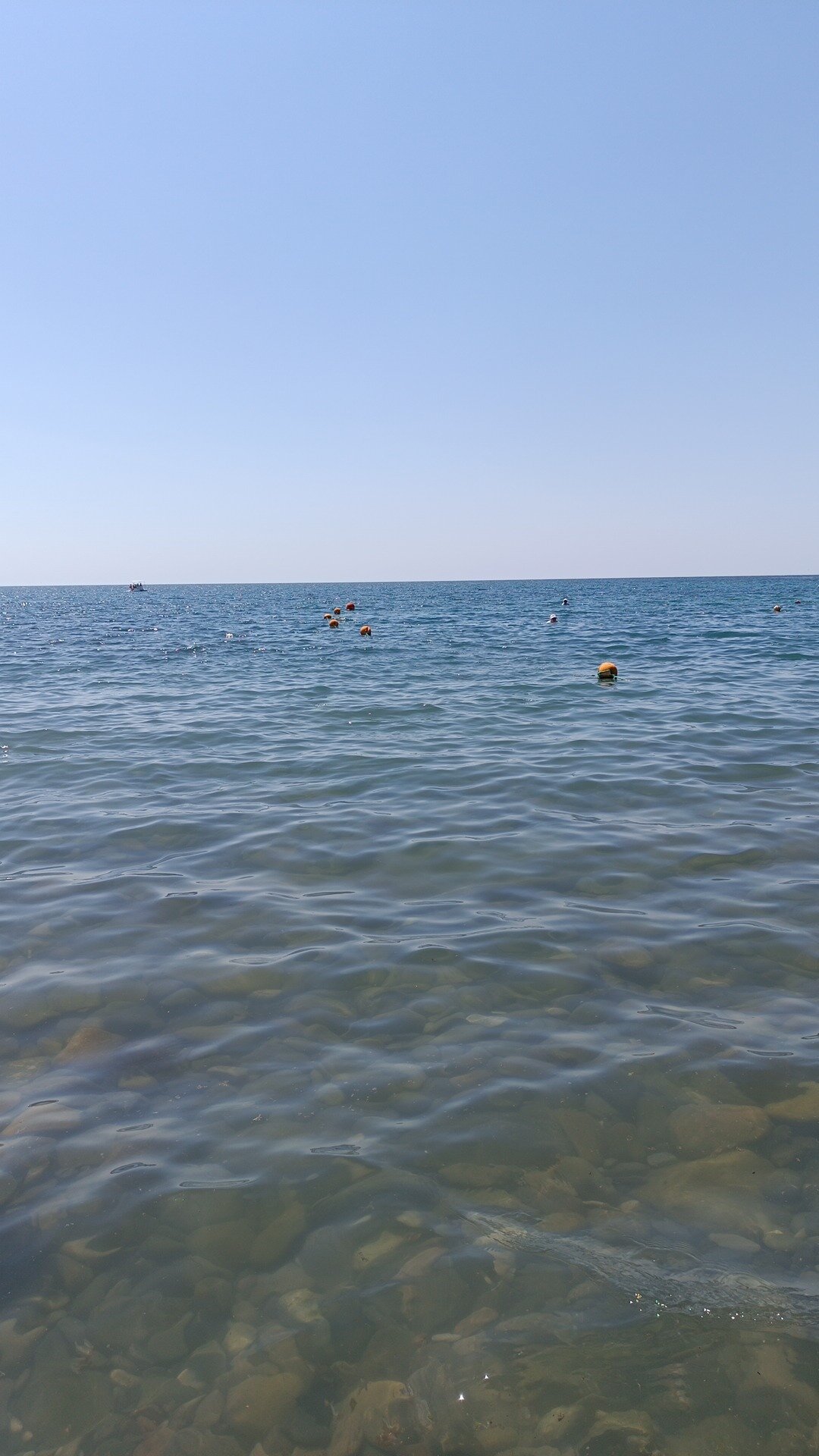 Фото Белувир