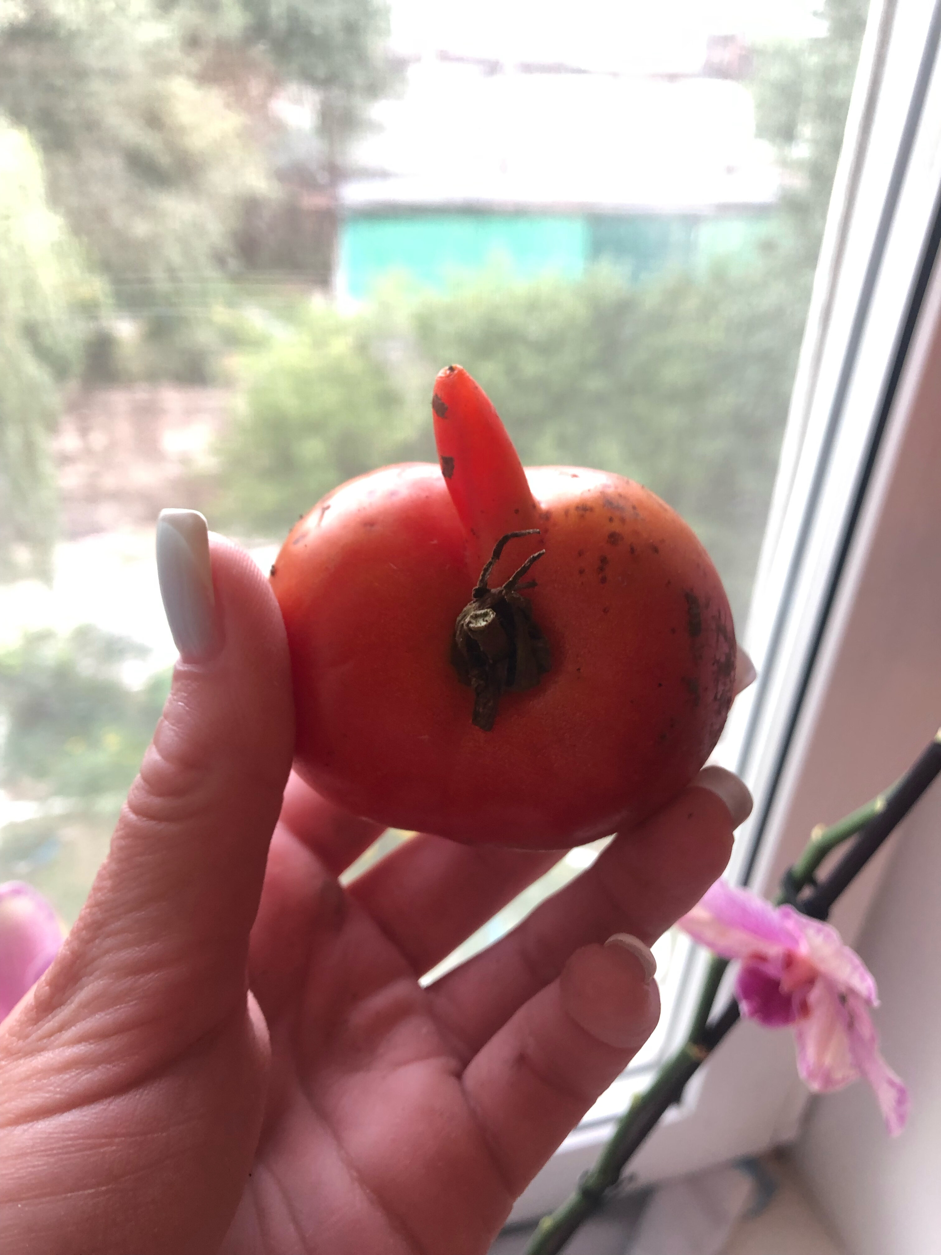 Фото Надежда