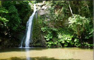 Cinarlidere Recreation Area (Kocaeli, Çınarlıdere Mesire Yeri), place for picnic