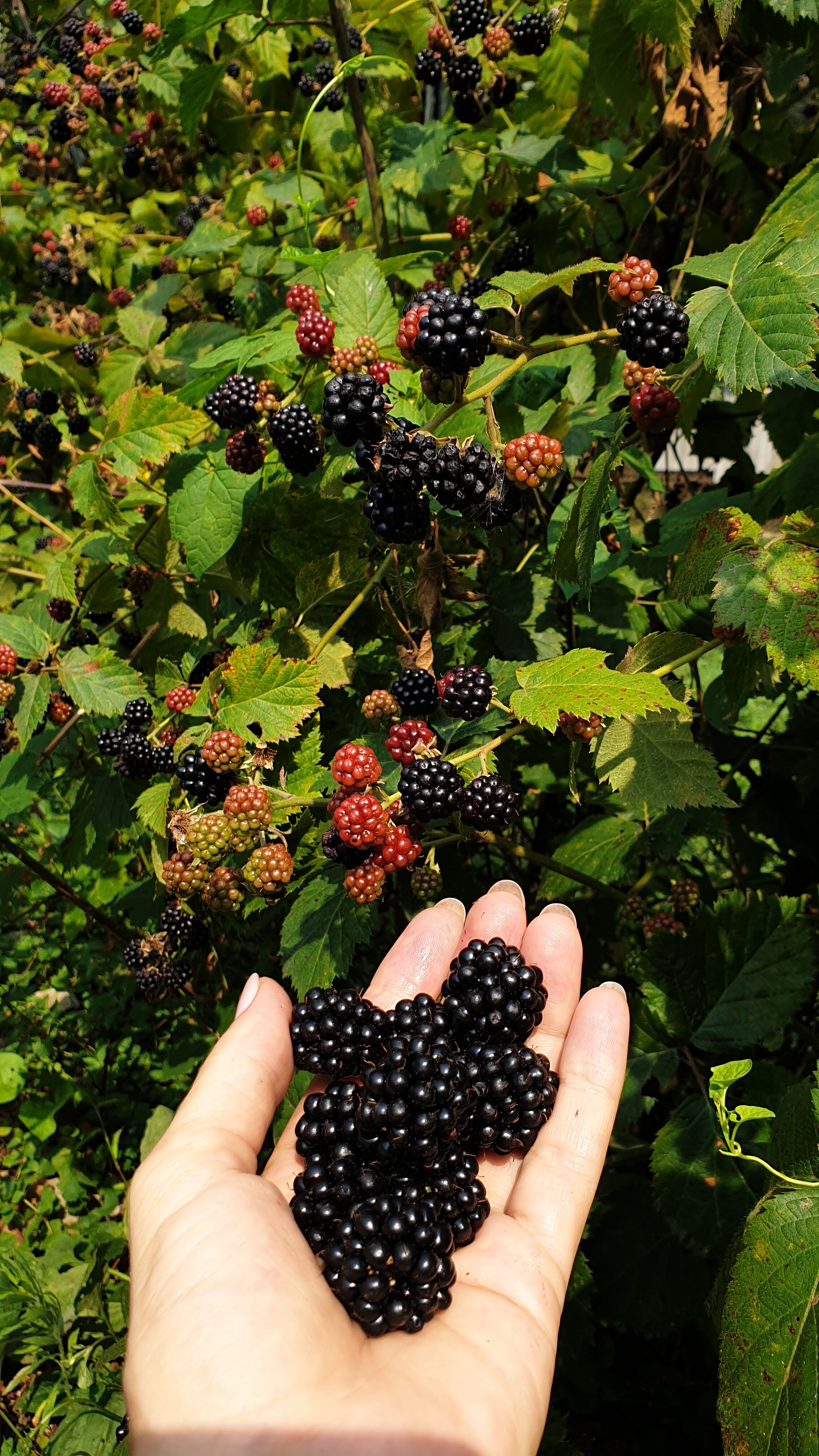 Фото Домик в деревне