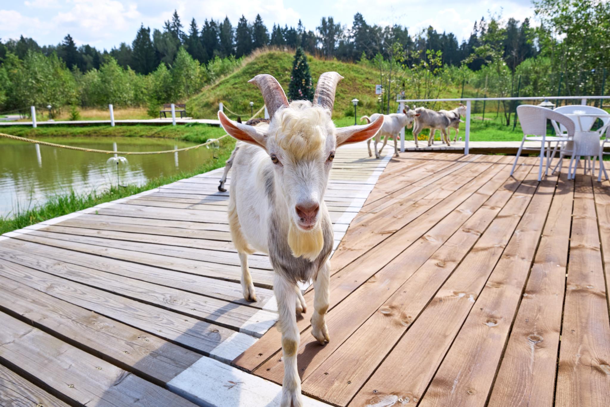 Фото Просто Эко