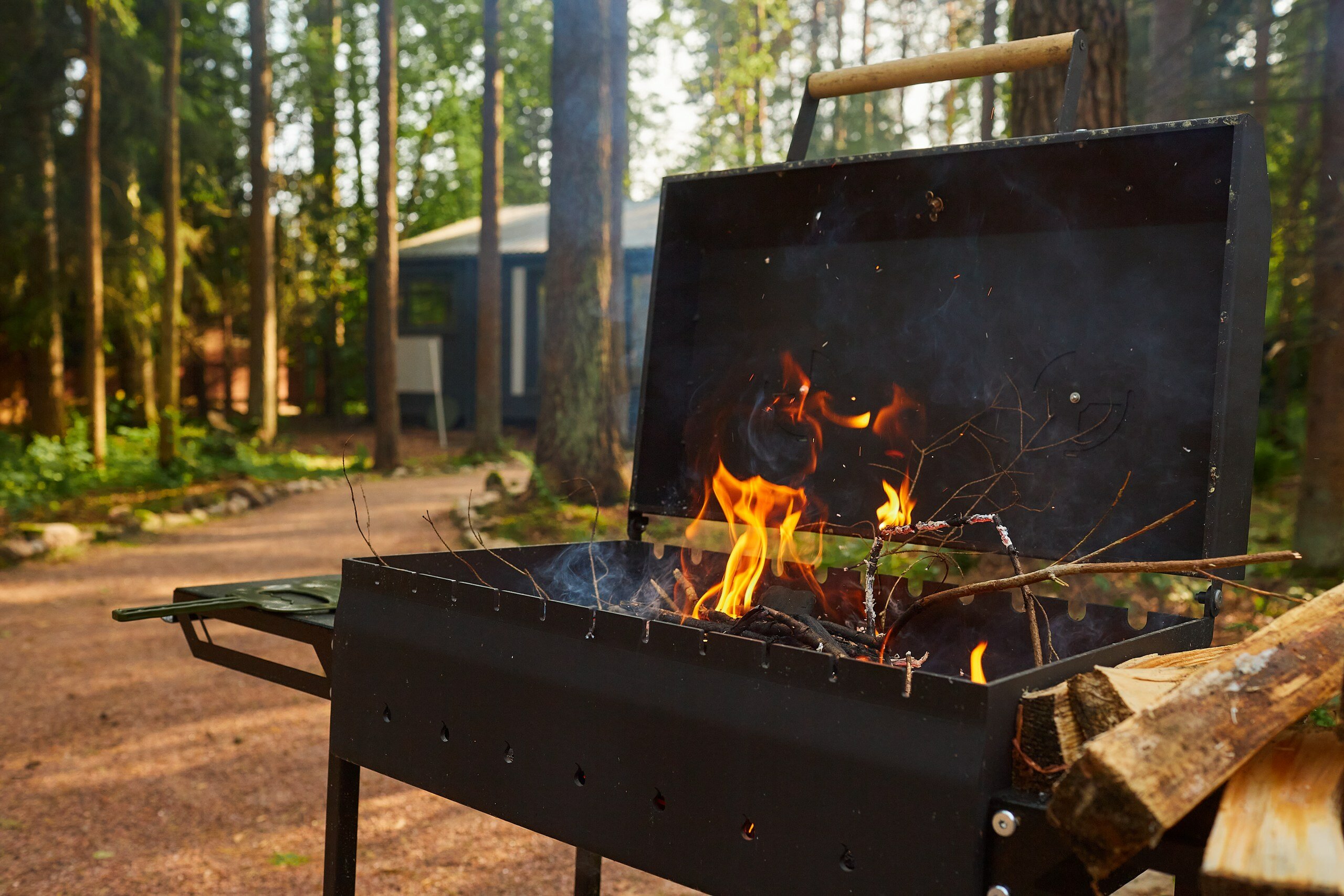 Фото Репинские дачи