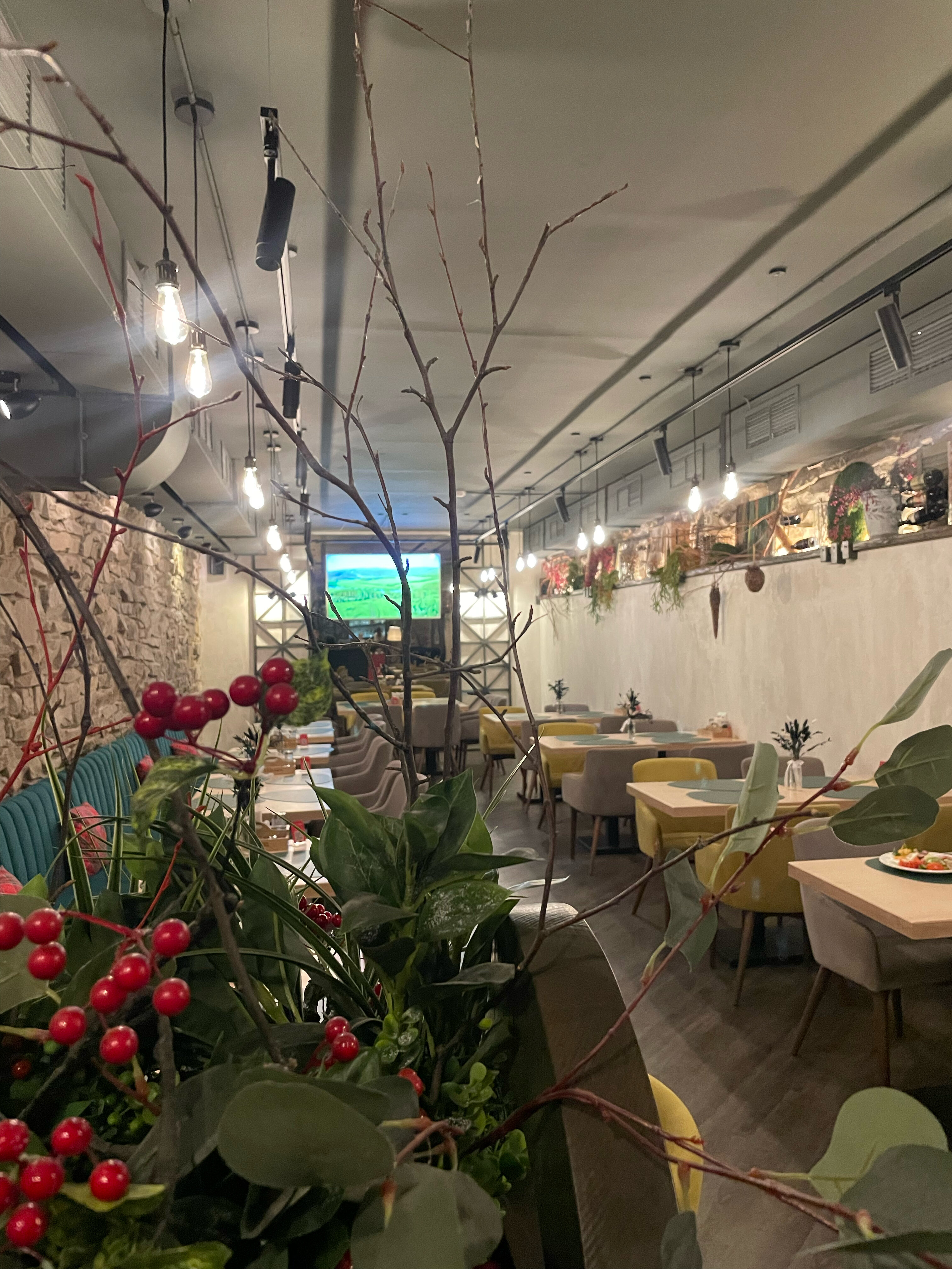 Фото Альбион