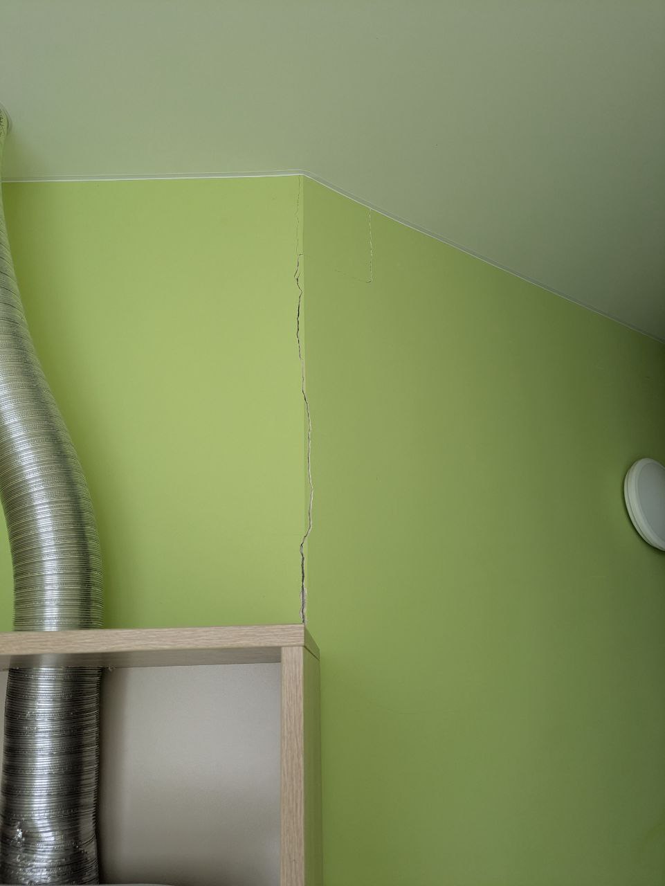 Фото Клевер Удачи