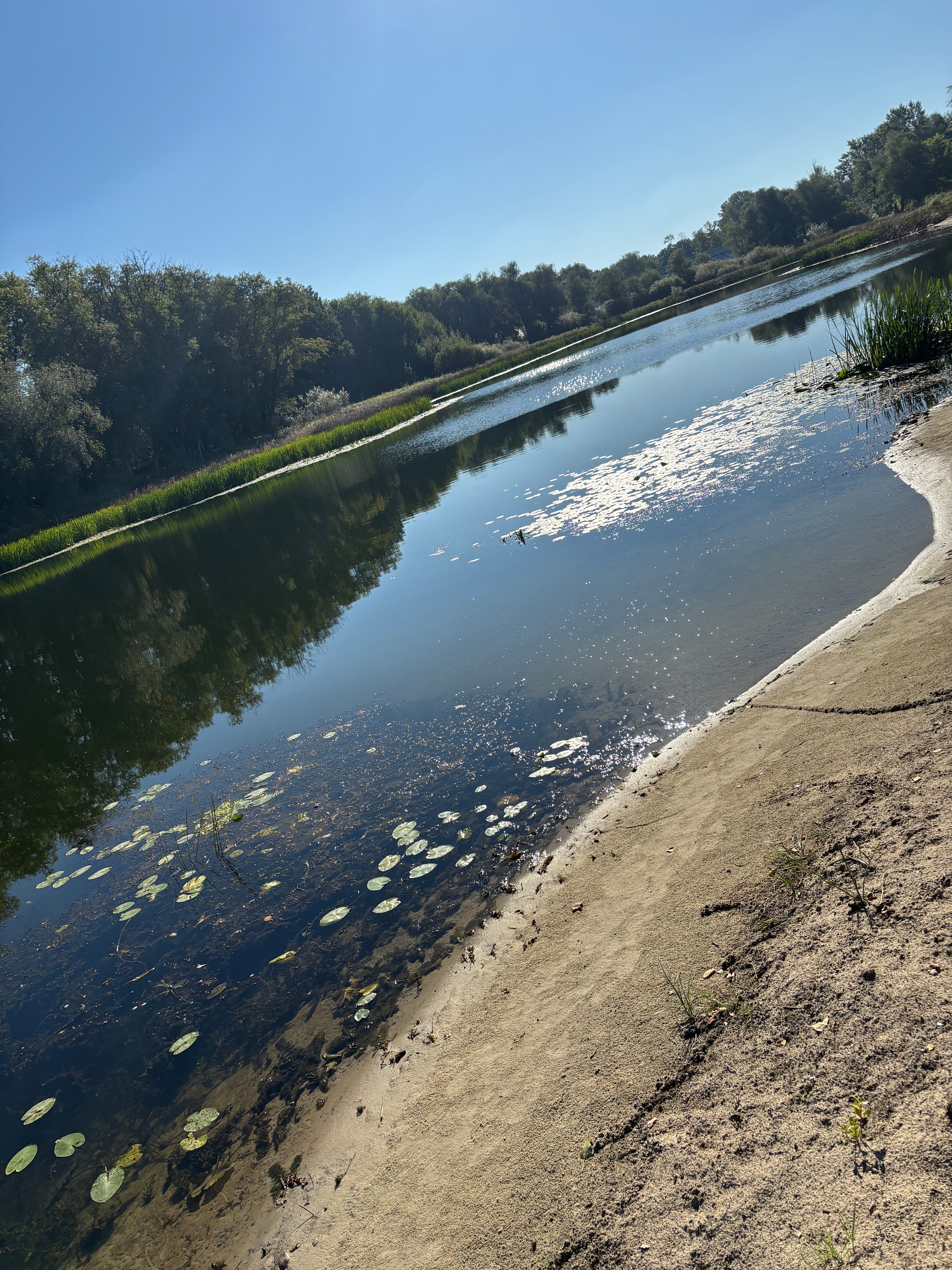 Фото Черкасский затон