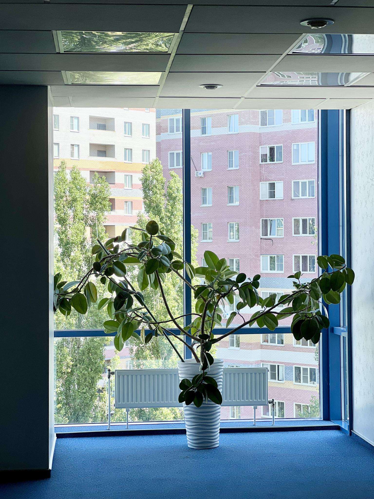 Фото Николь