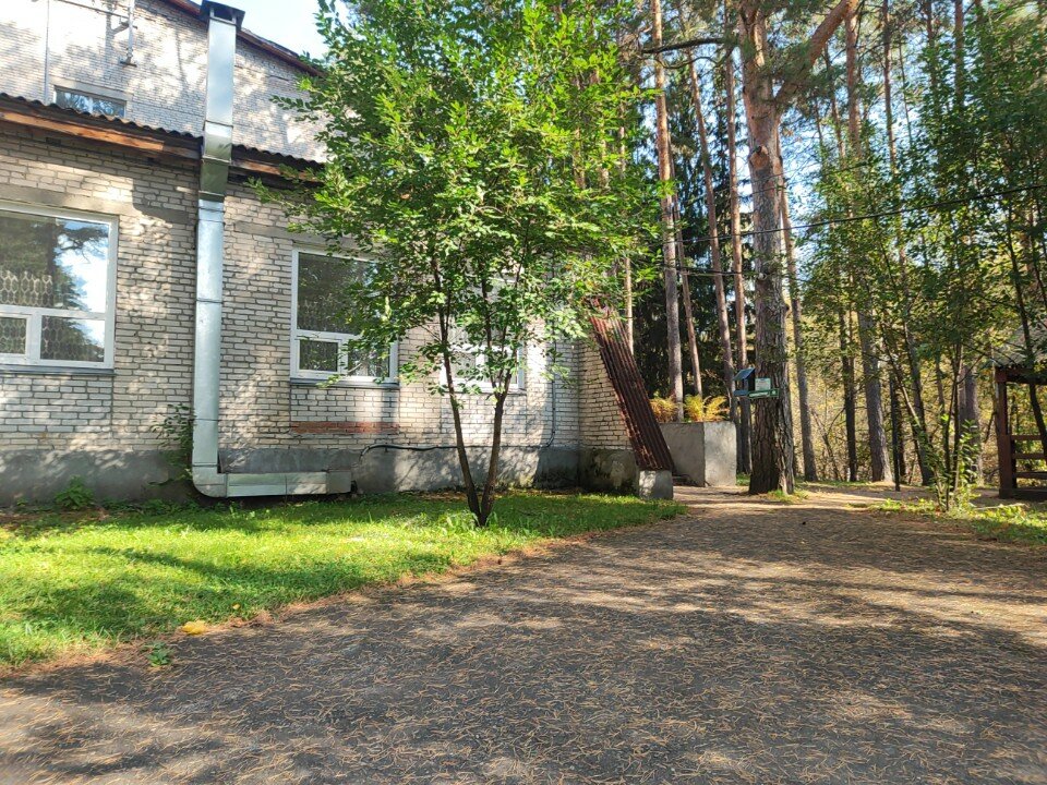 Фото Лесные дали