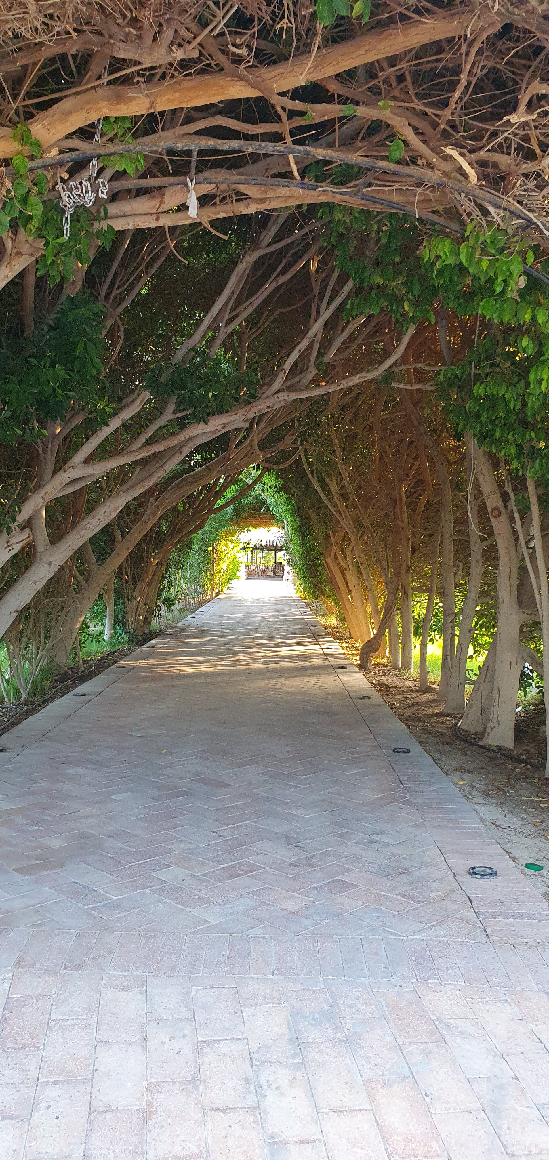 Фото Fort Arabesque Resort, SPA & Villas