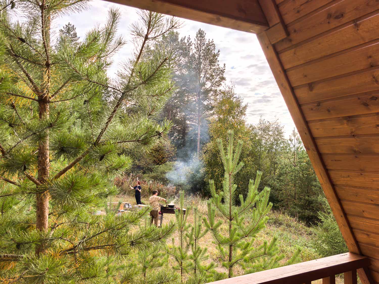 Фото Елки Иголки