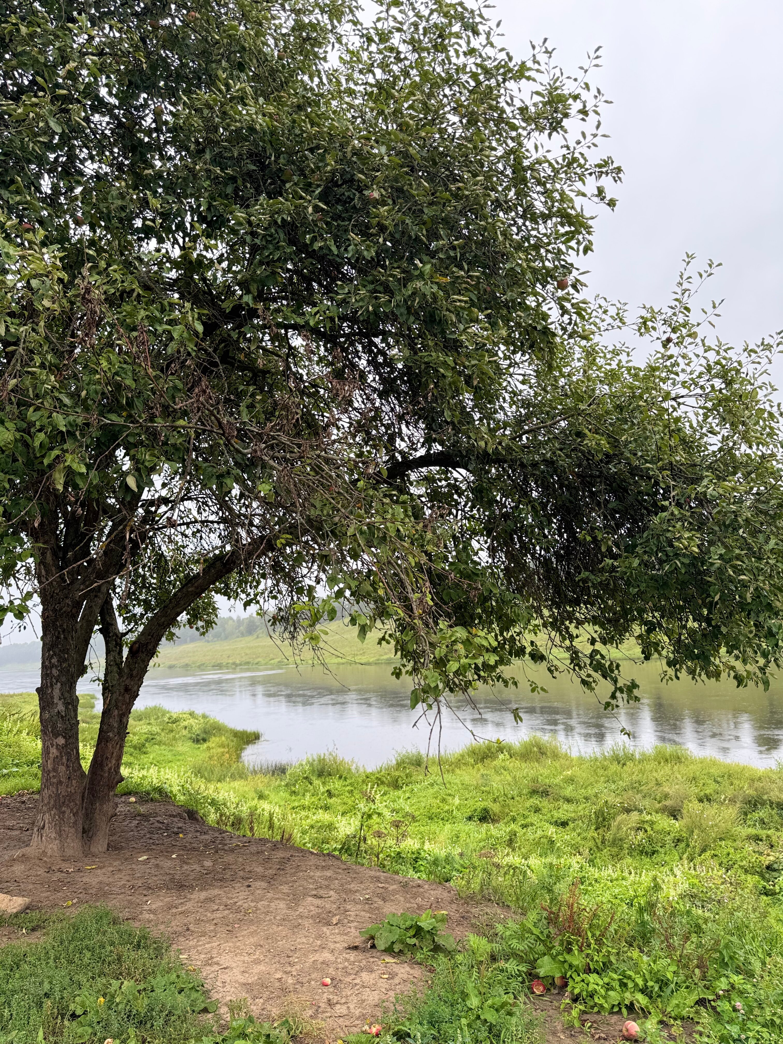 Фото Резиденция Товарищества Братьев Нобель