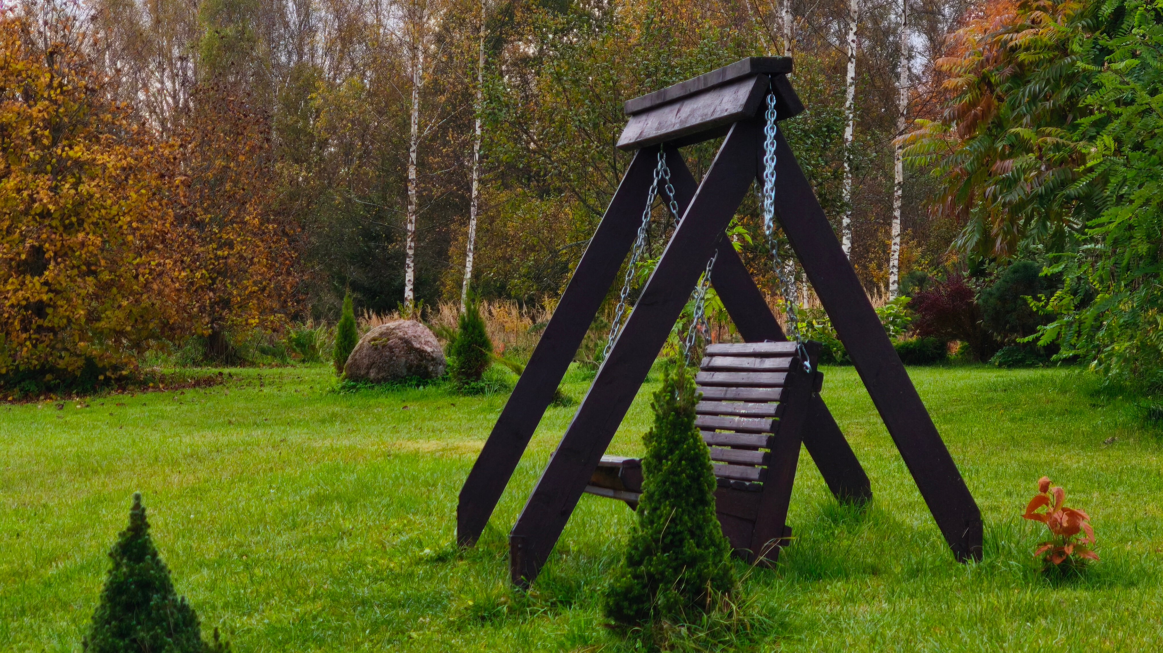 Фото У Лукоморья