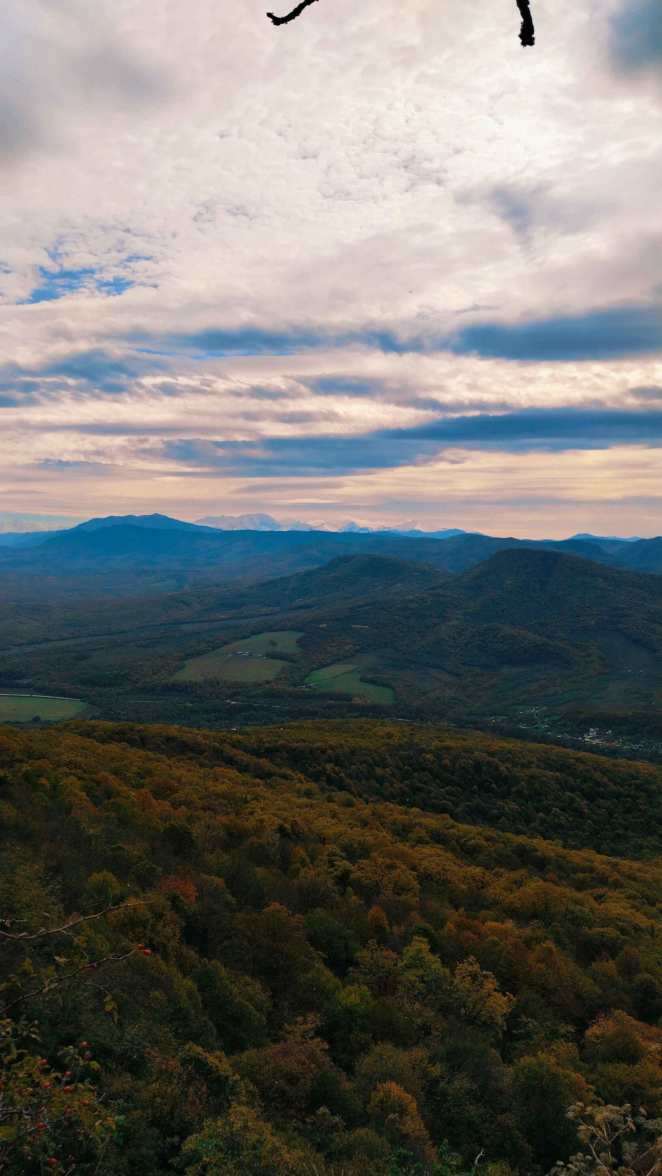 Фото Даховская АтмоСфера