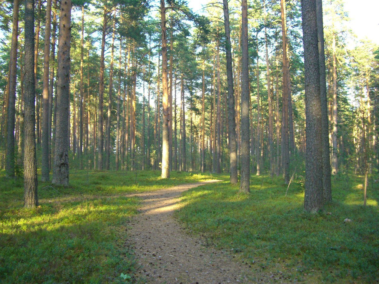 Фото Каменная гора