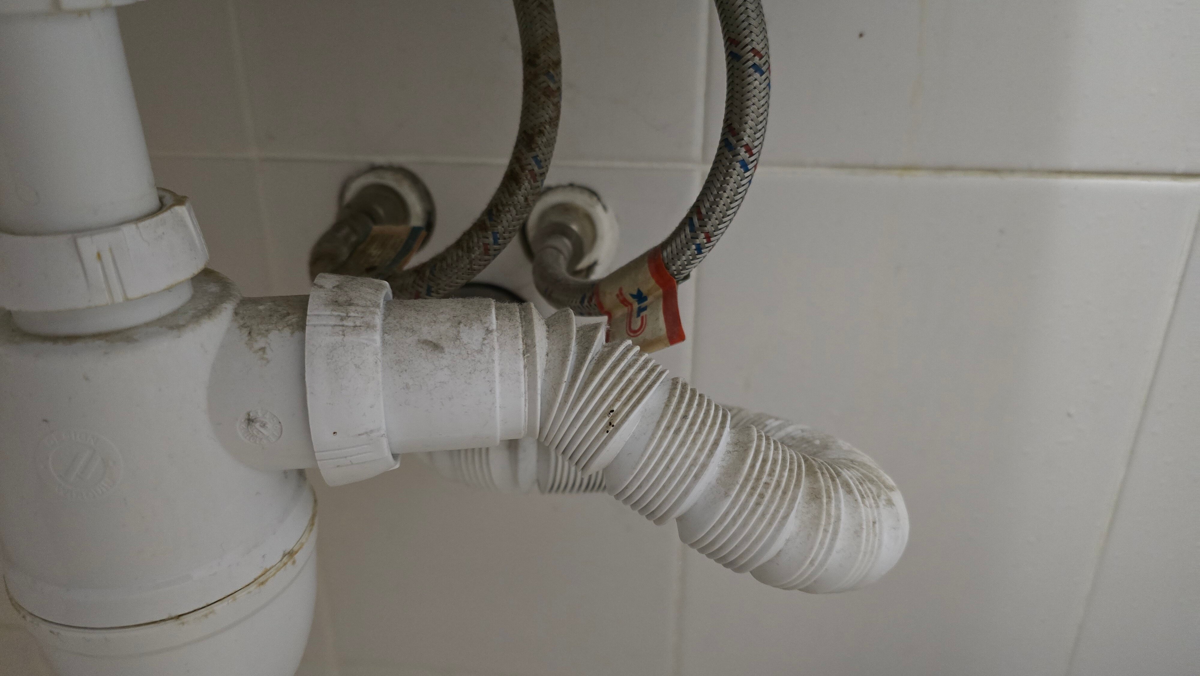 Фото Зурбаган