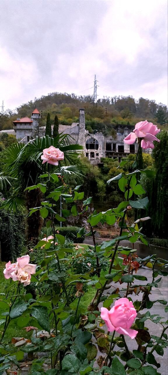 Фото Бухта Мечты