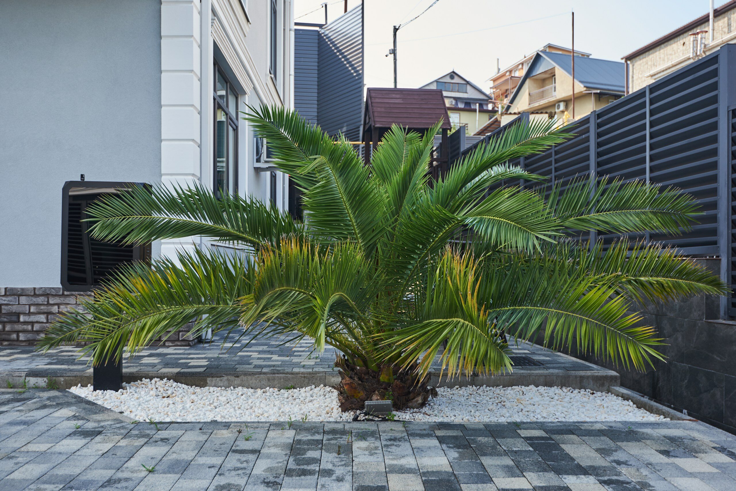 Фото Дачный квартал