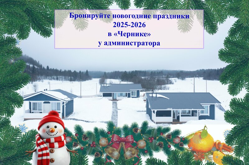 Черника в Сонном заливе — фото 2