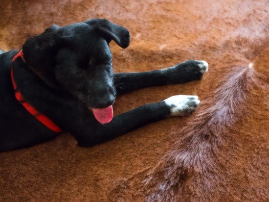 Фото Hotel Meira