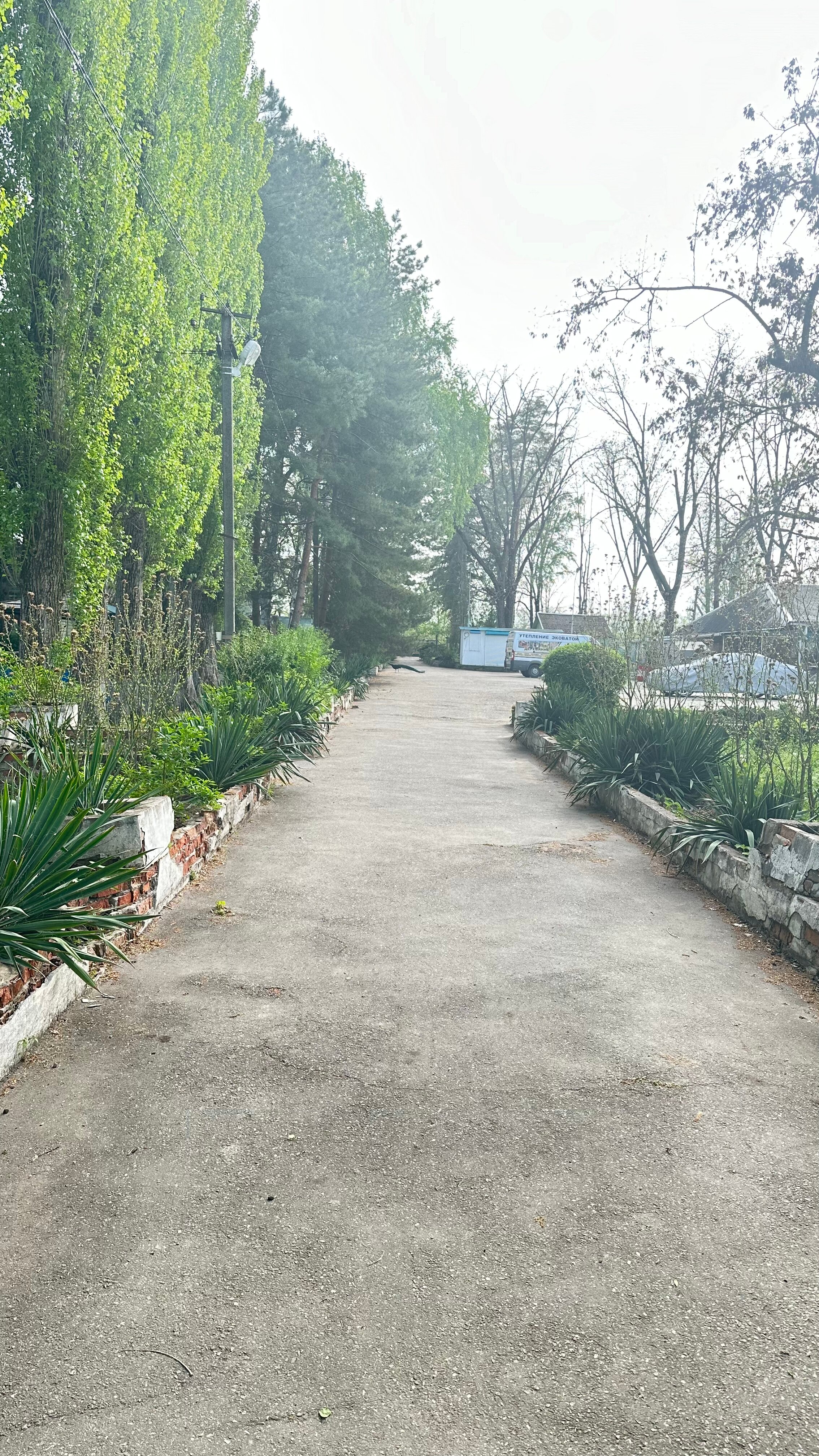 Фото Карасёвка