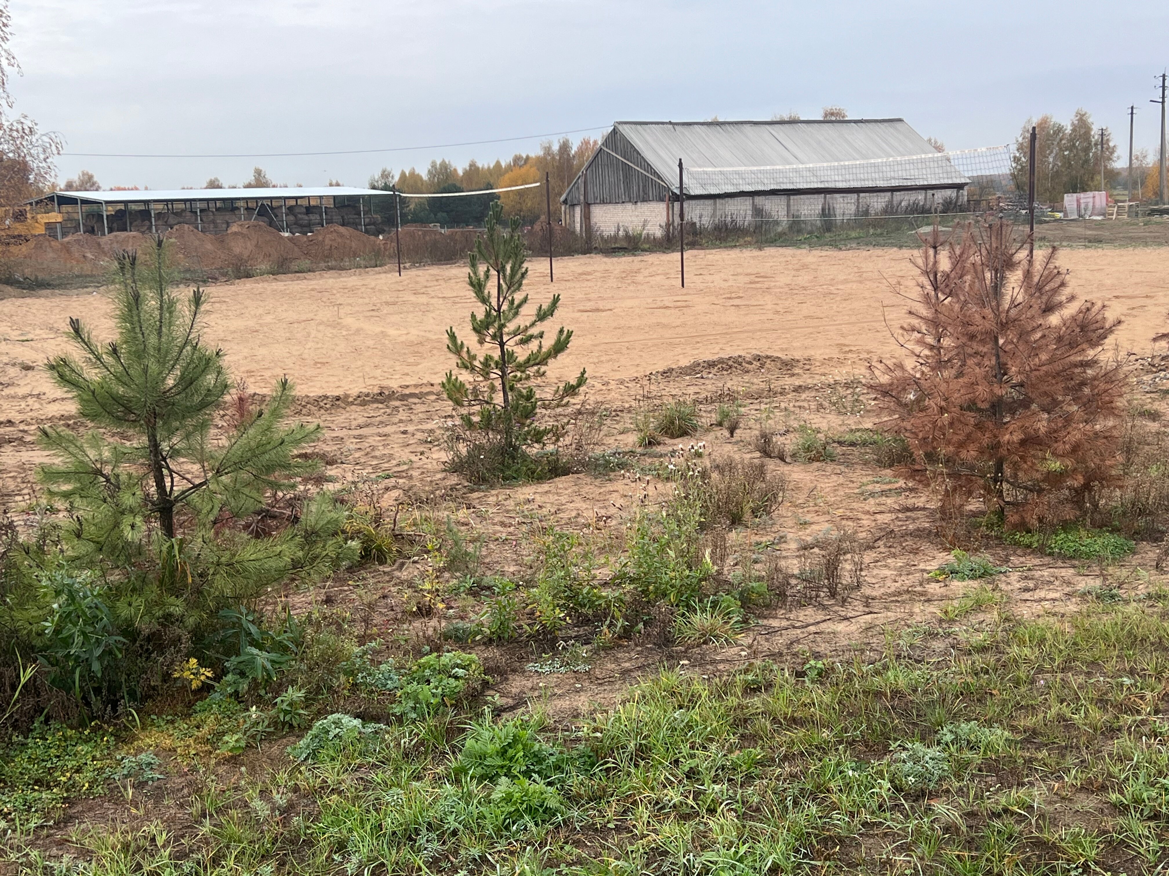 Фото Хутор Филино