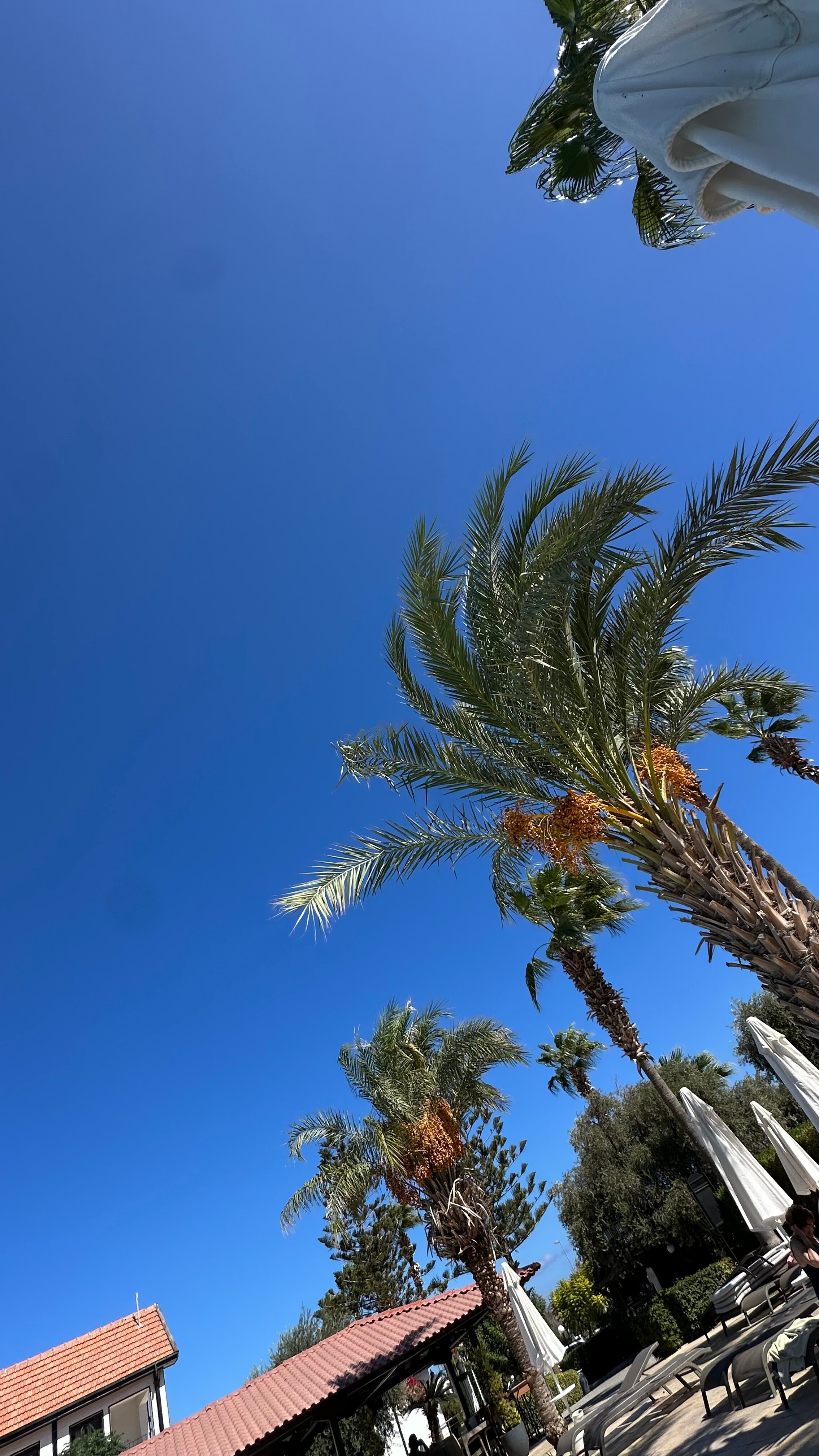 Фото The Ship Inn Hotel