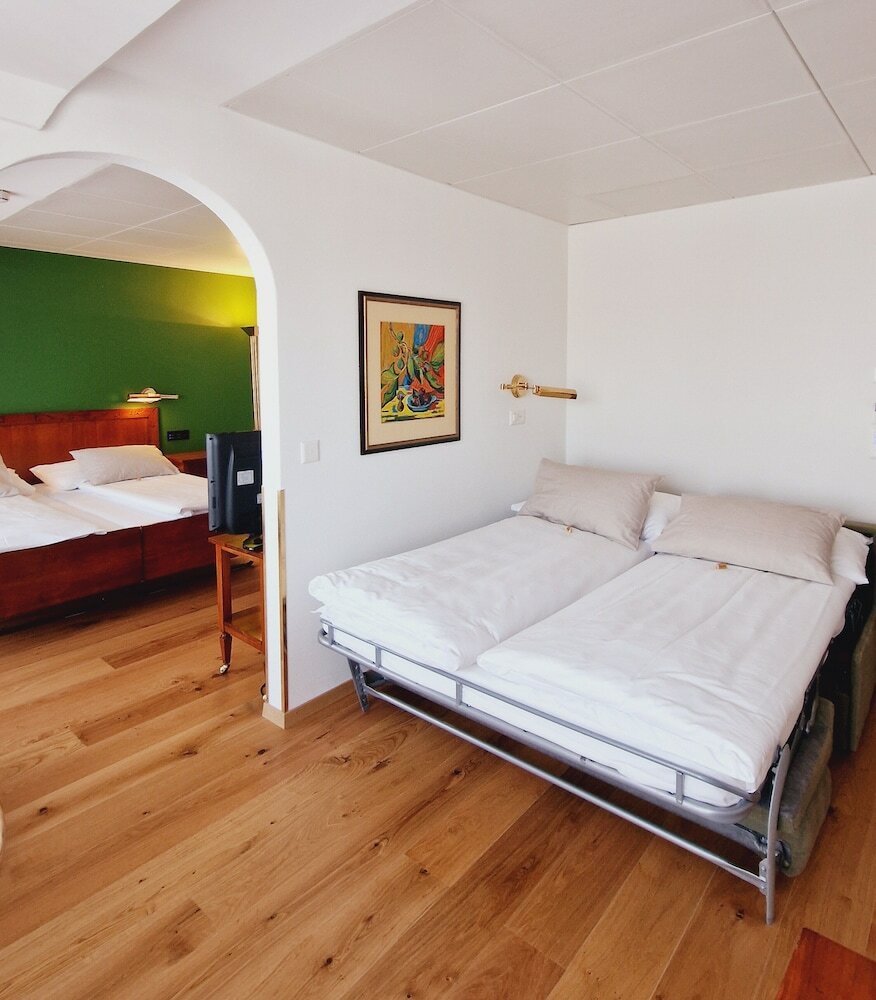 Фото Engimatt City & Garden Hotel