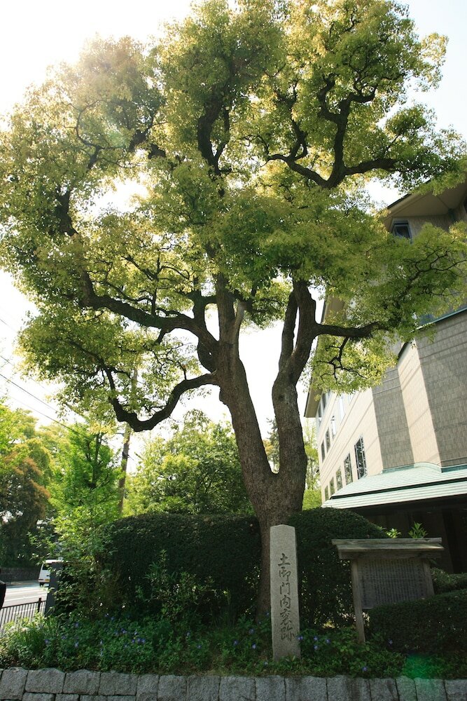 Фото Kyoto Garden Palace