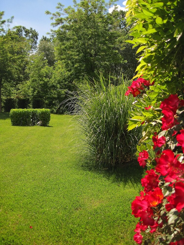 Фото Hotel Certaldo