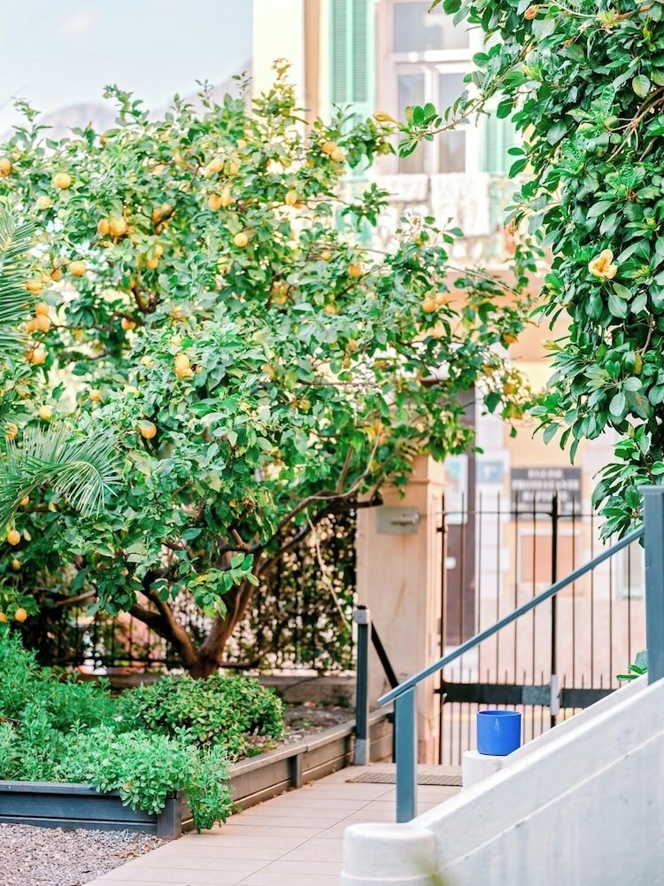 Фото Hotel Lemon