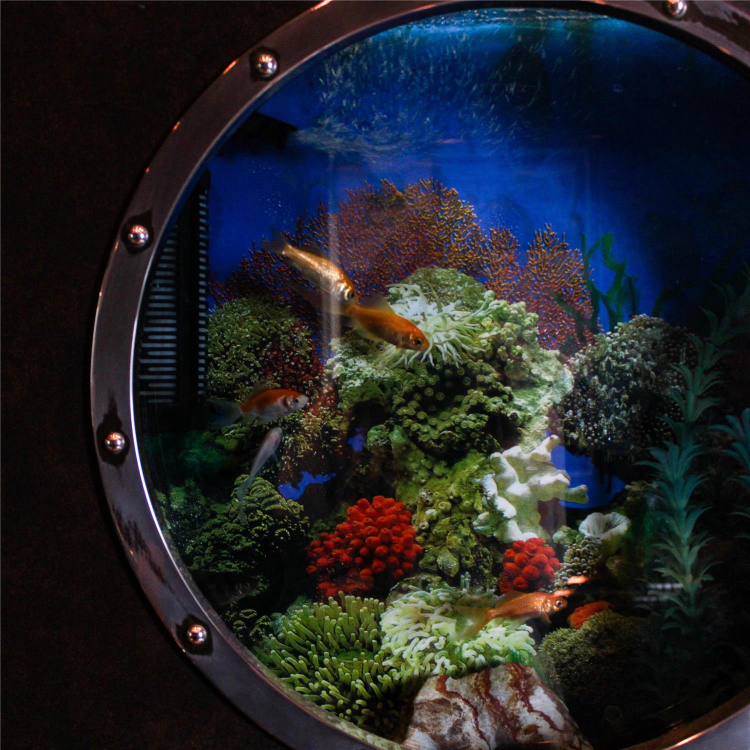 Фото Holiday Inn Winnipeg - Airport West