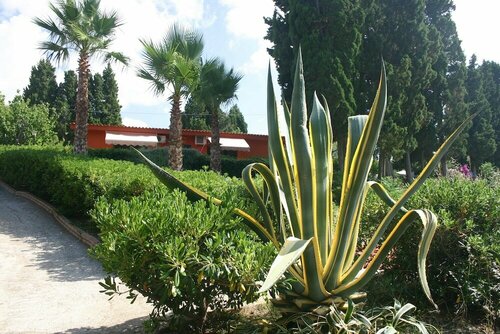 Внешний вид отеля Agriturismo Ruralia в Рикади, фото 3