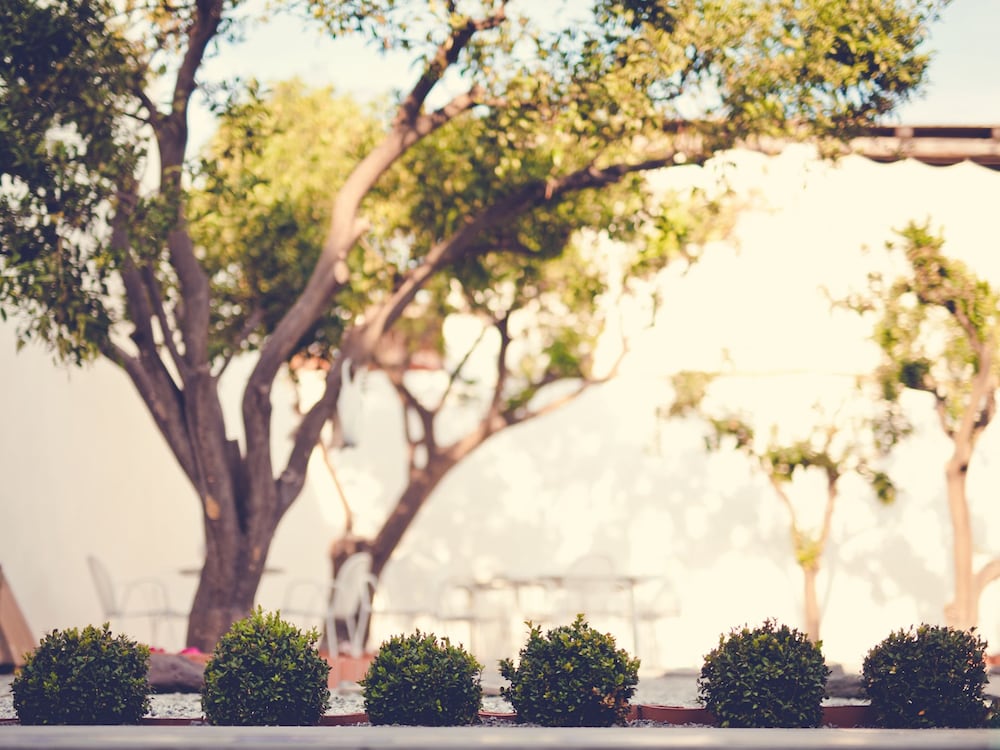 Фото Punta Sallustro Lipari