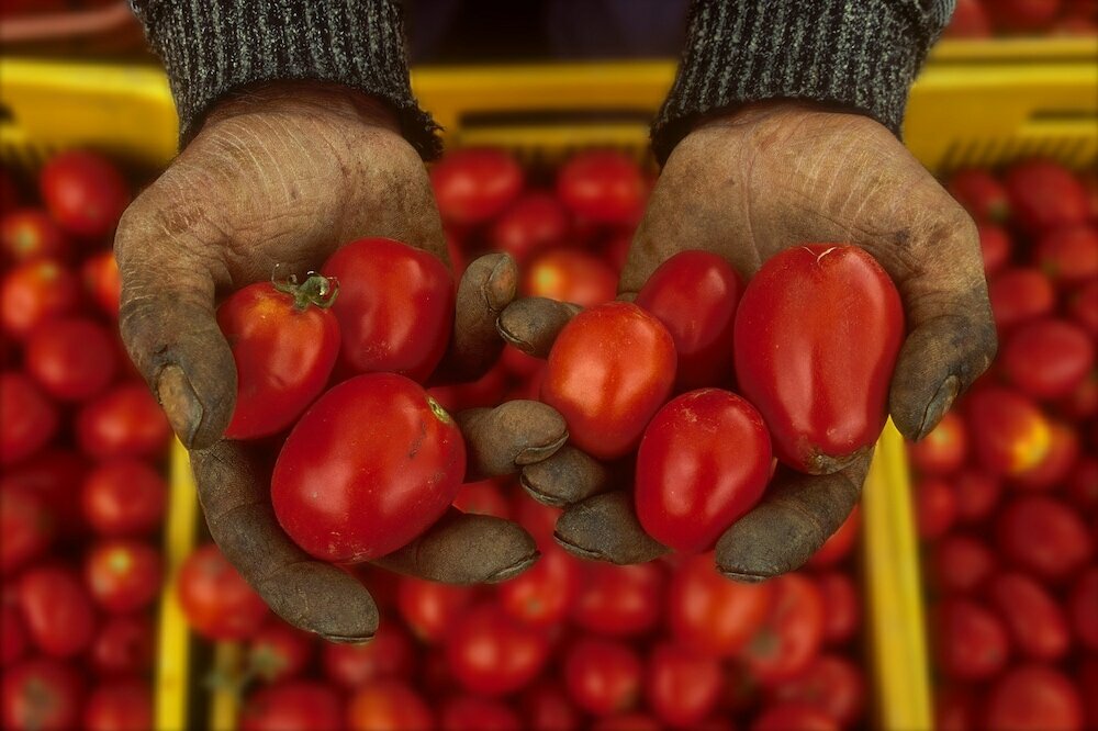 Фото Agriturismo Villa Dafne