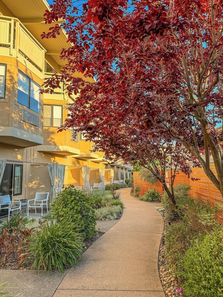 Фото The Lodge at Tiburon