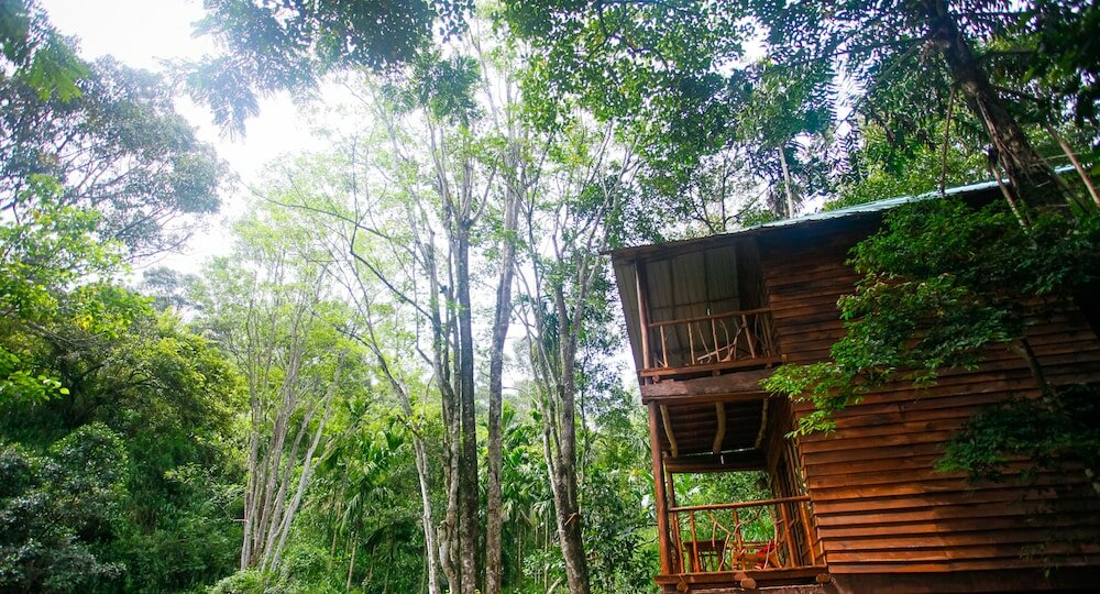 Фото Ella Eco Lodge