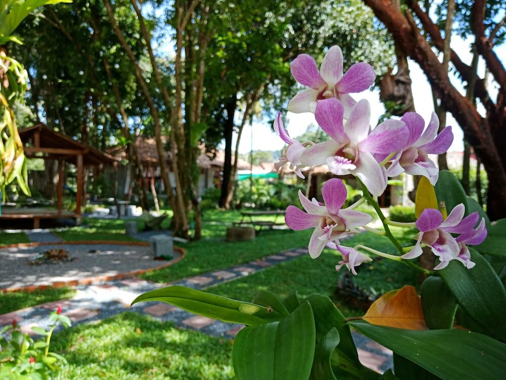 Фото Blanco Hostel at Lanta