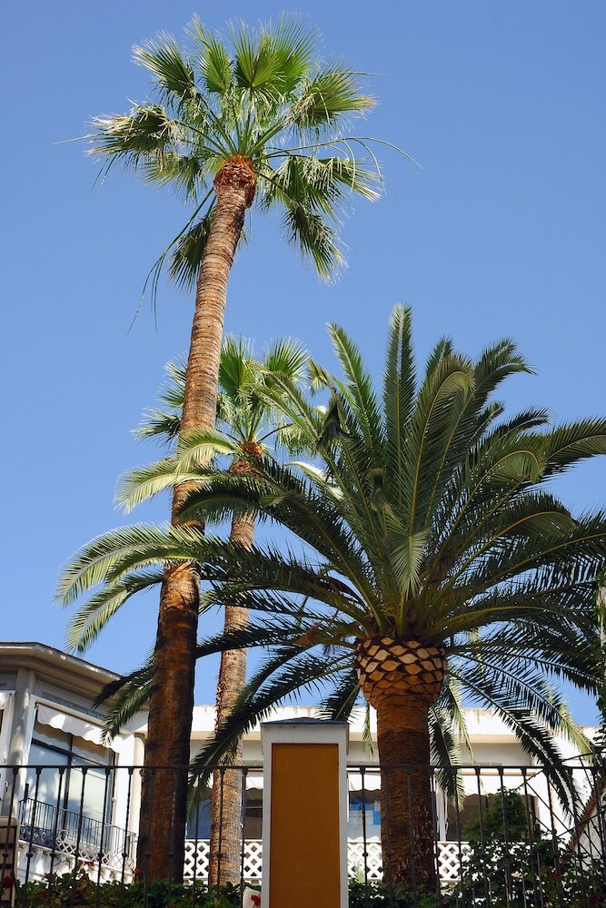 Фото Vincci La Rabida Hotel