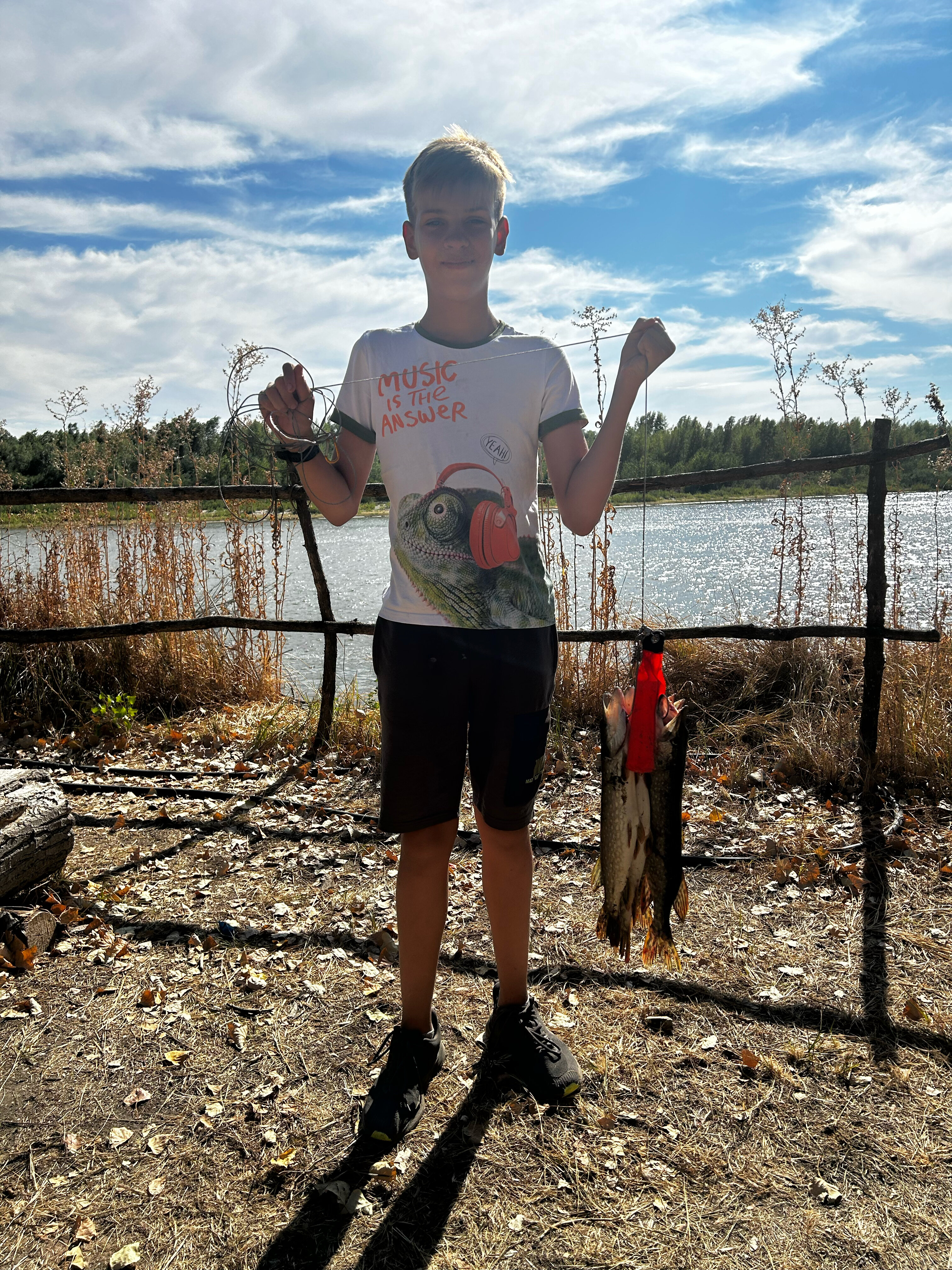 Фото Звезда