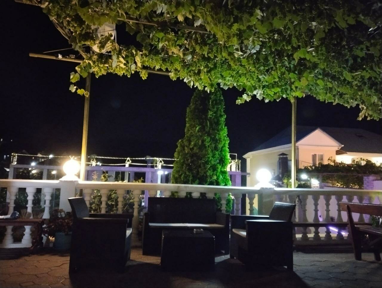 Фото Встреча