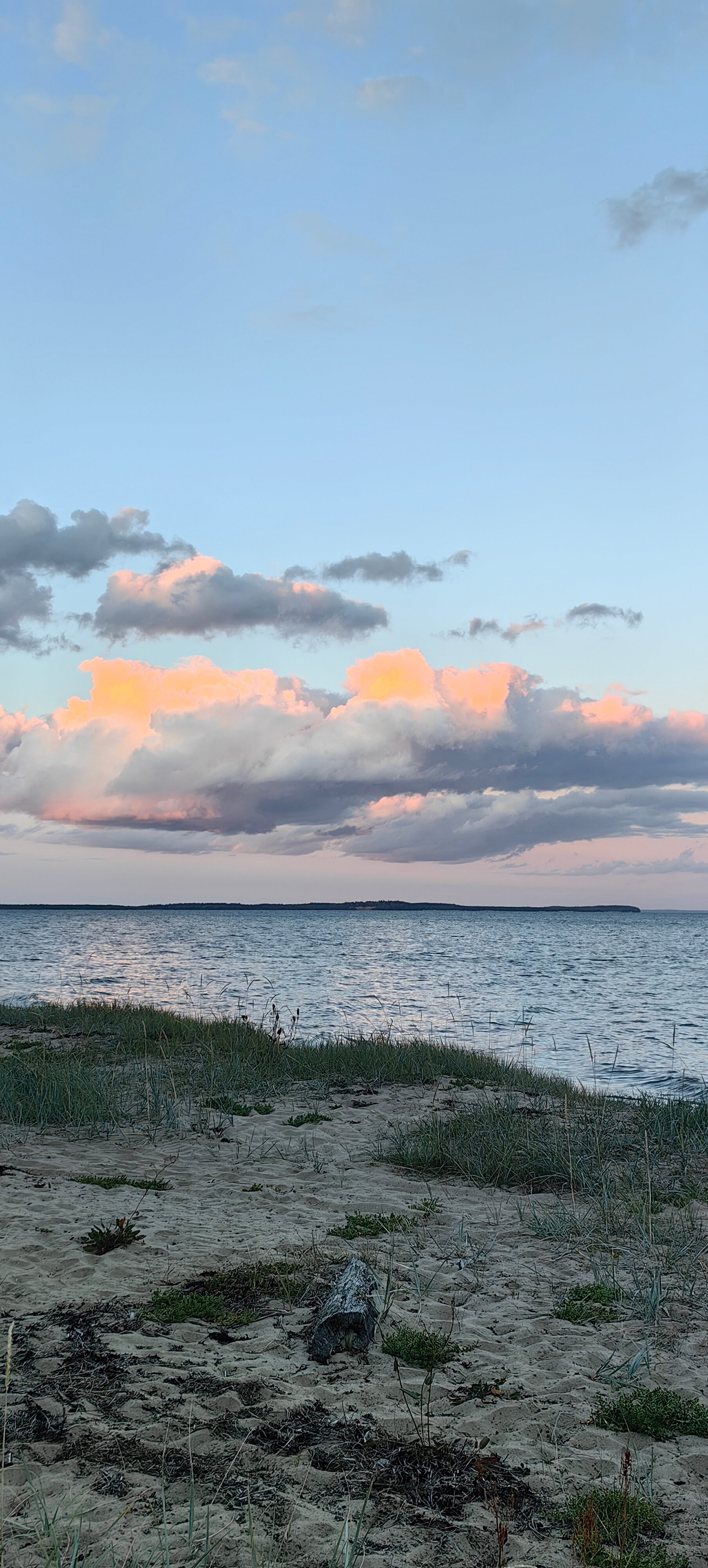 Фото Белый кит