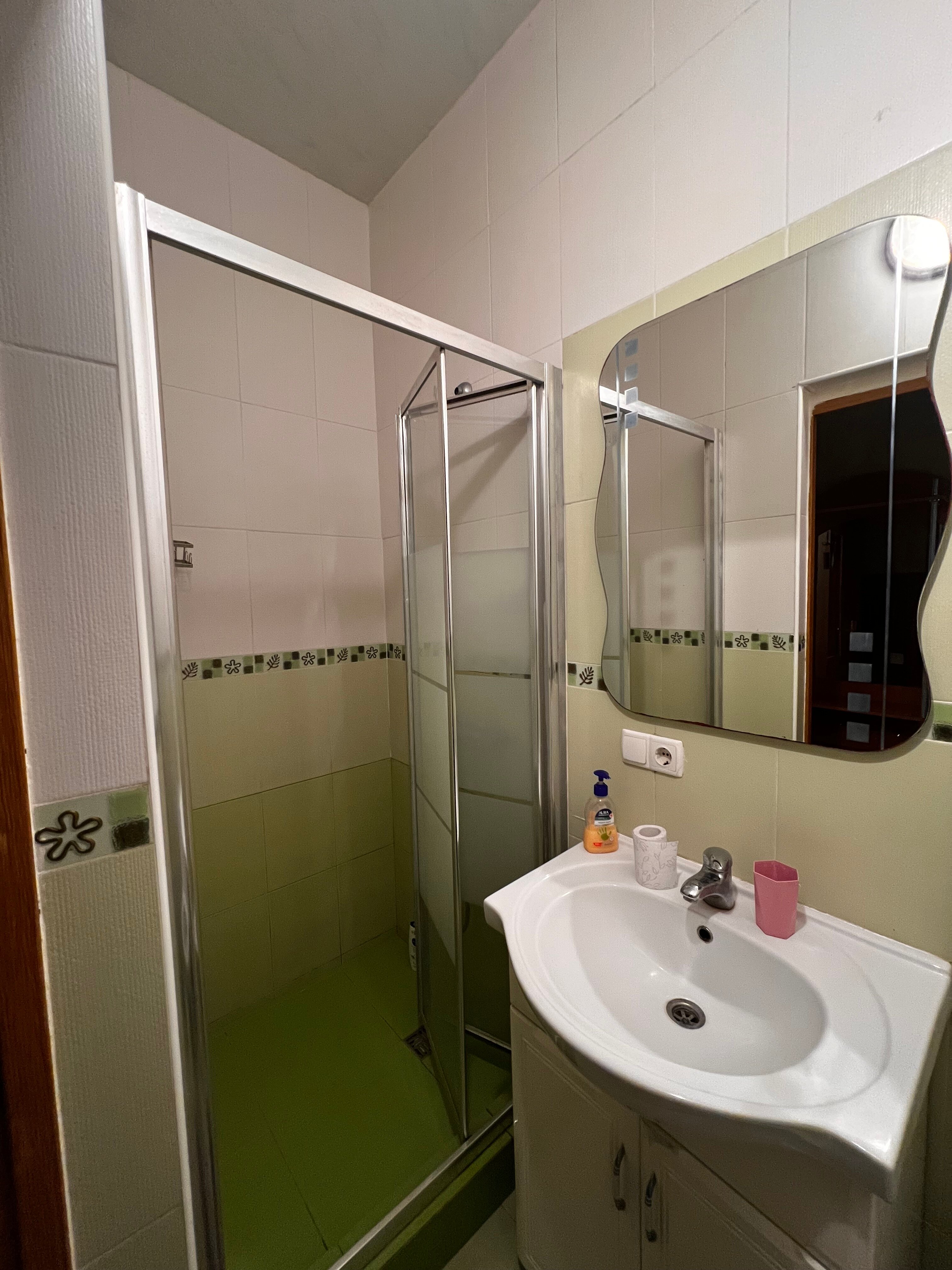 Фото Сосна и Пальмы