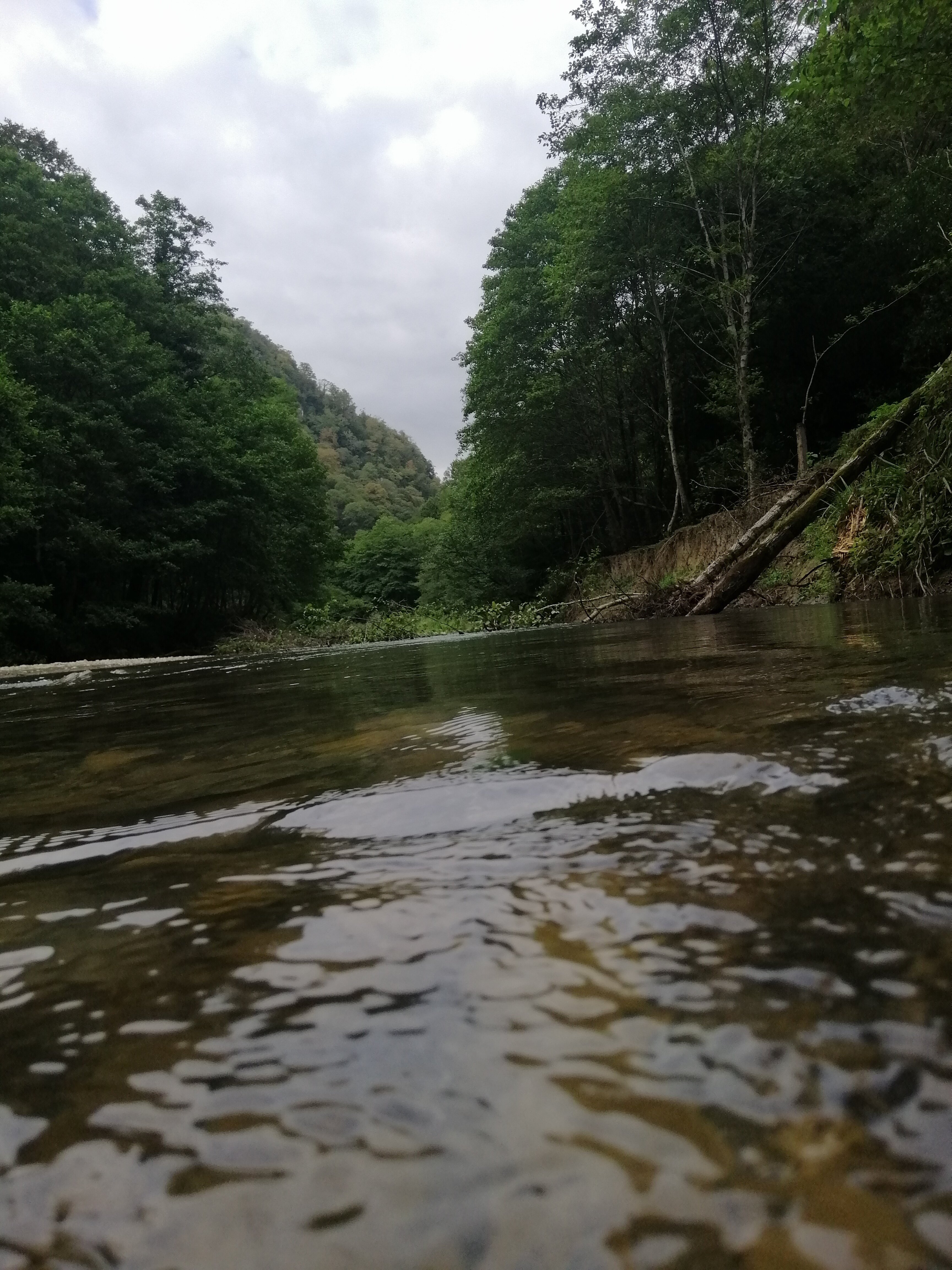 Фото Гранд Отель Маяк